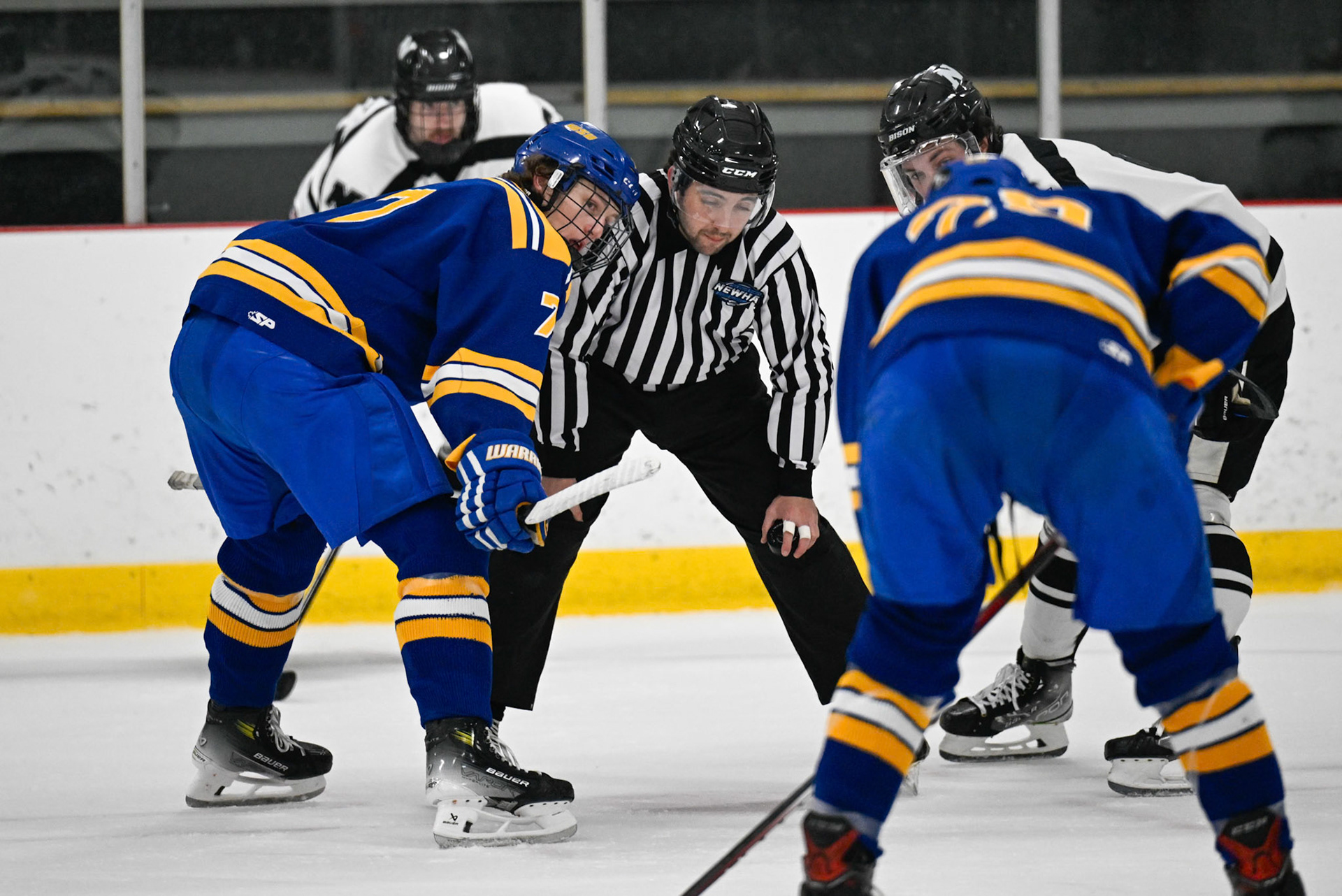 WSU Men's Ice Hockey