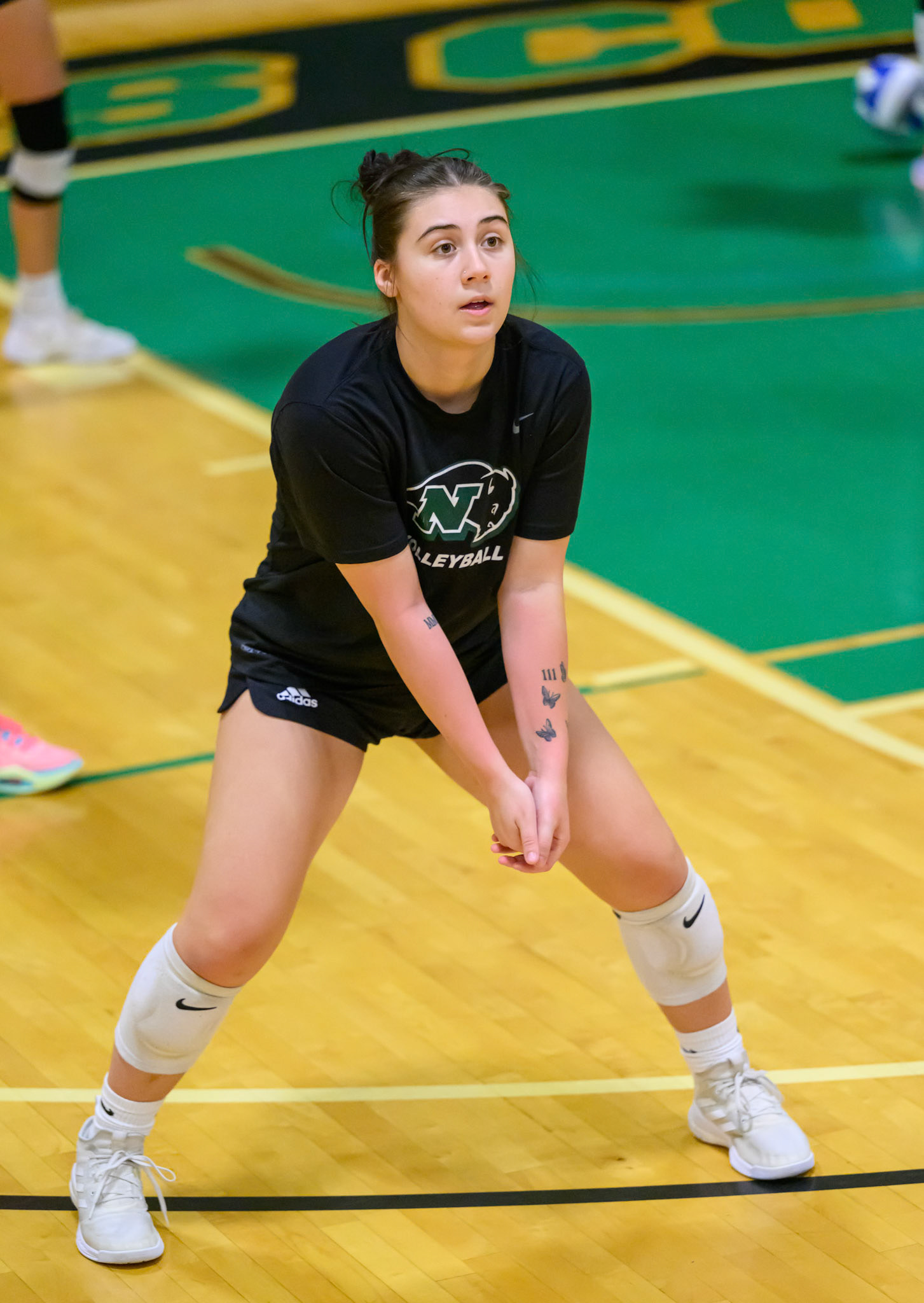 Nichols Volleyball