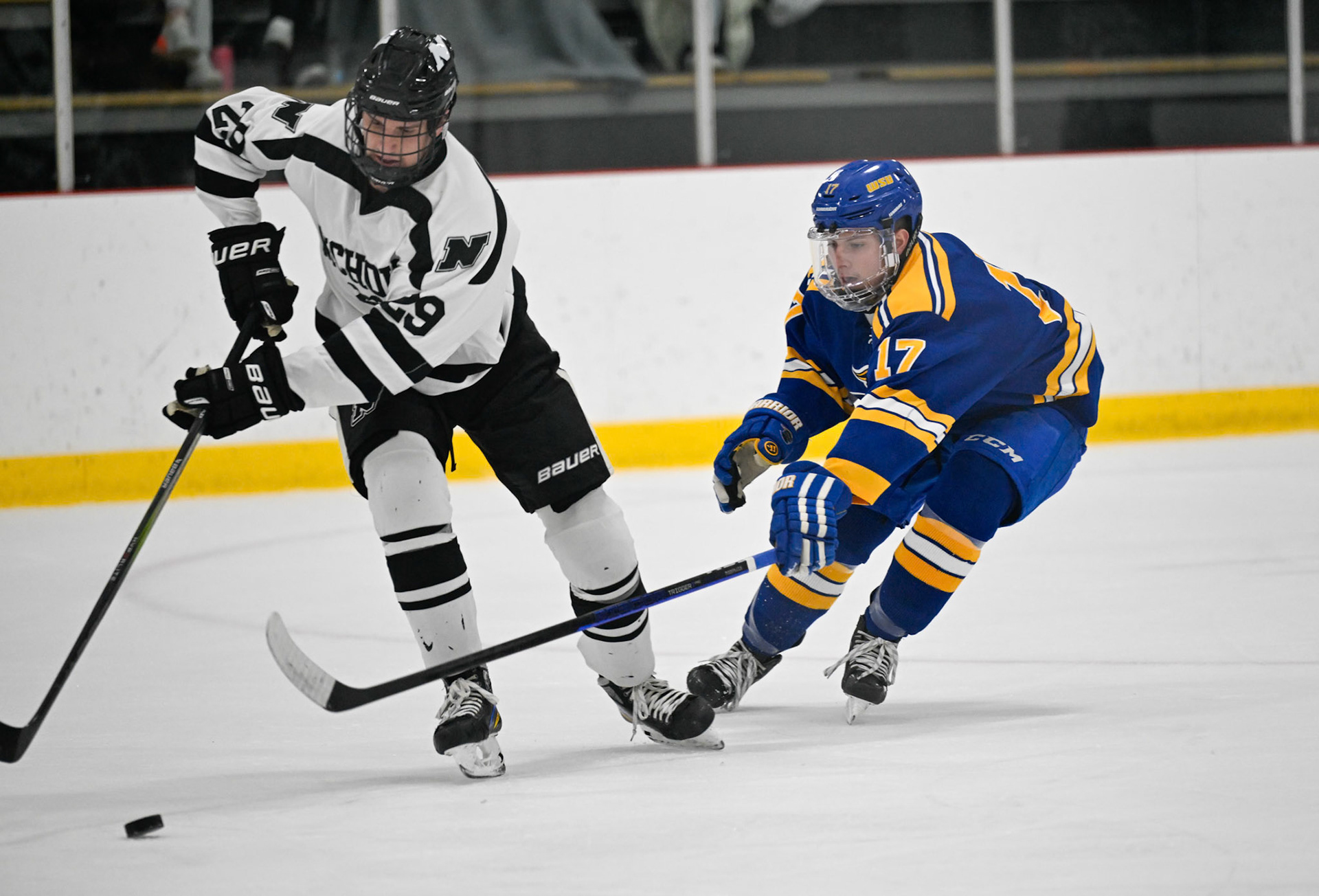 WSU Men's Ice Hockey