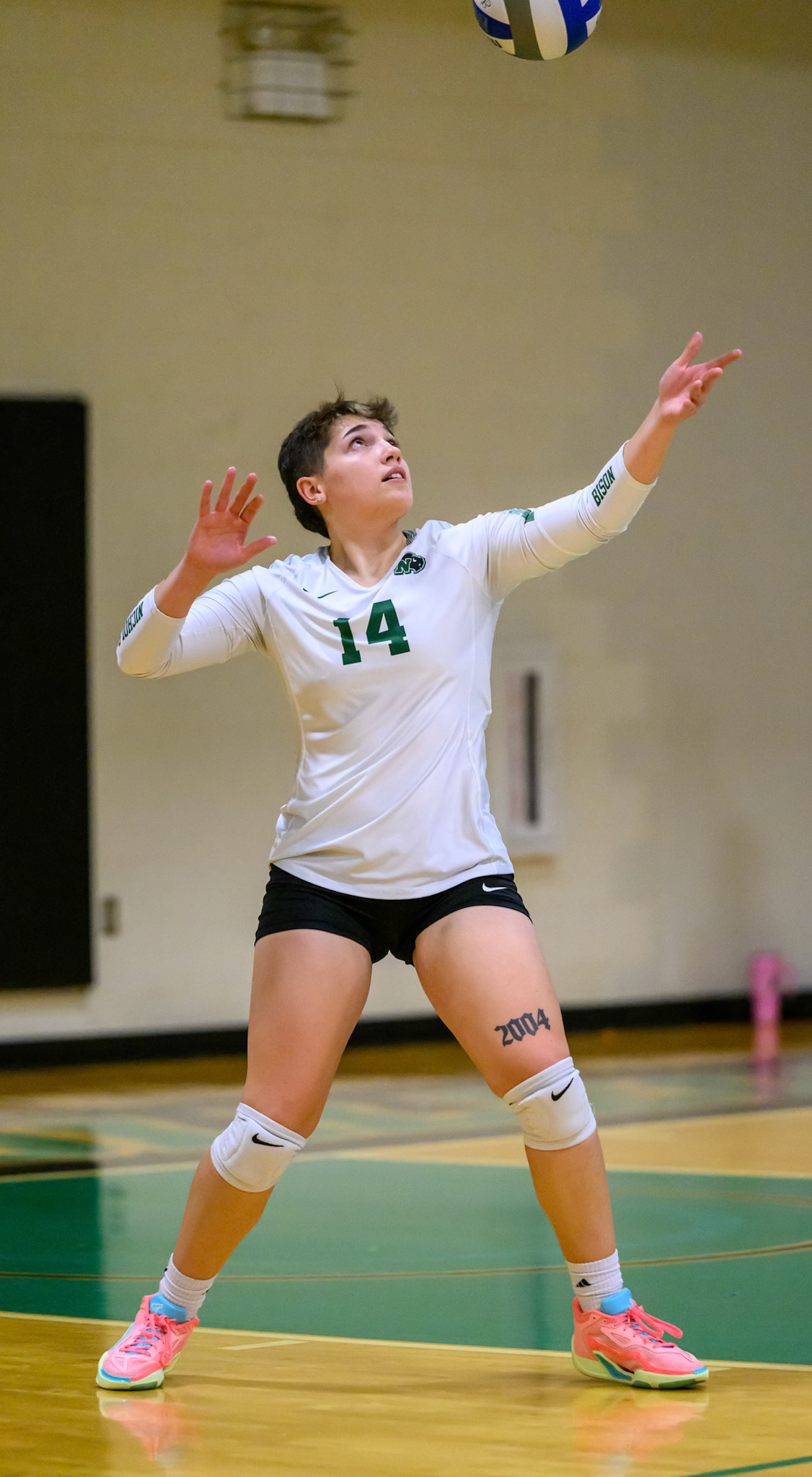 Nichols Volleyball