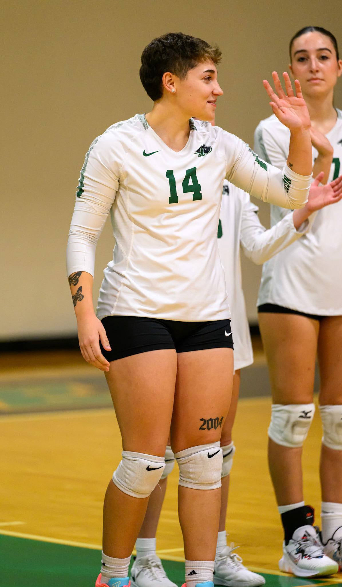 Nichols Volleyball