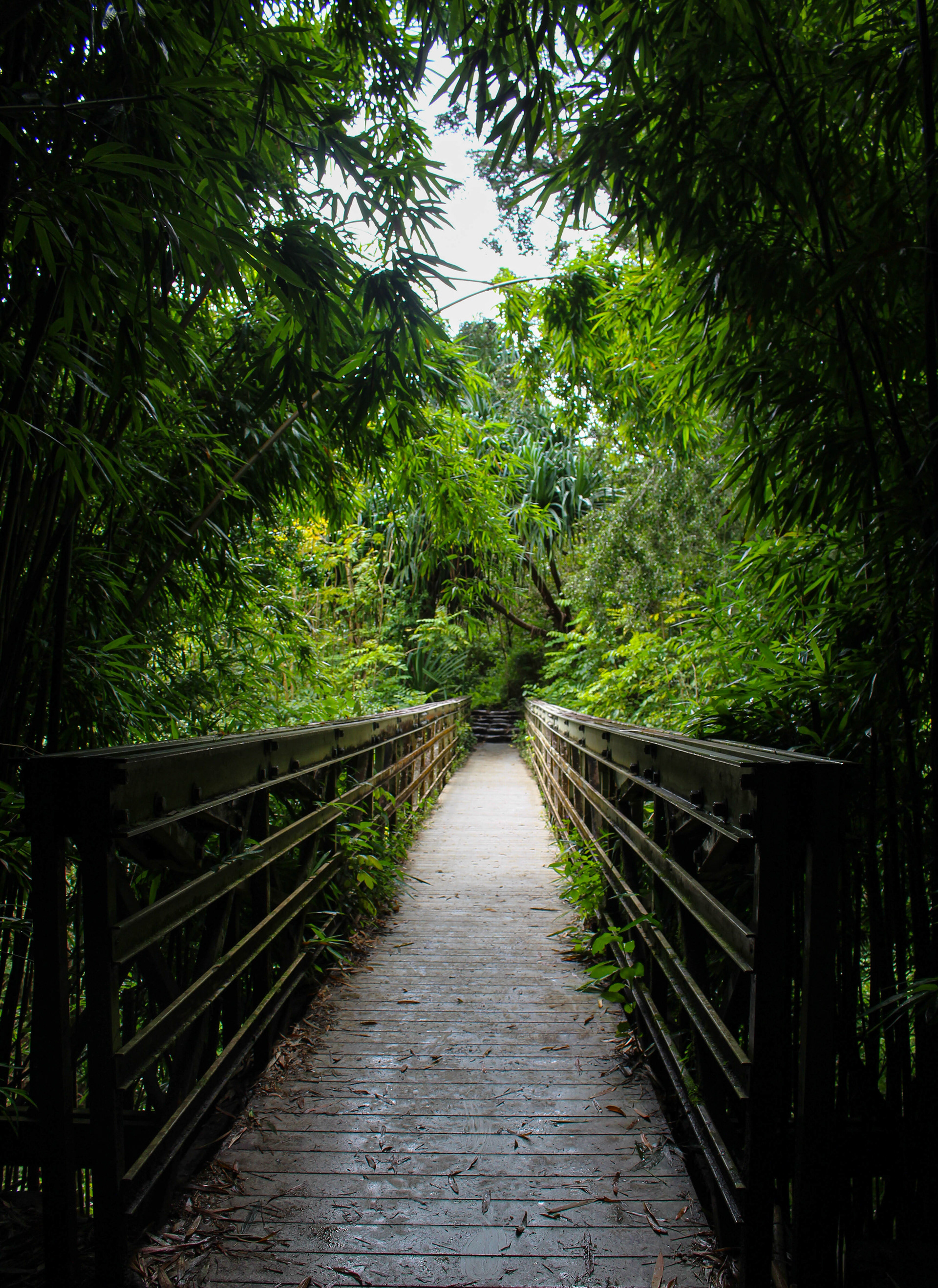 Haleakalā National Park