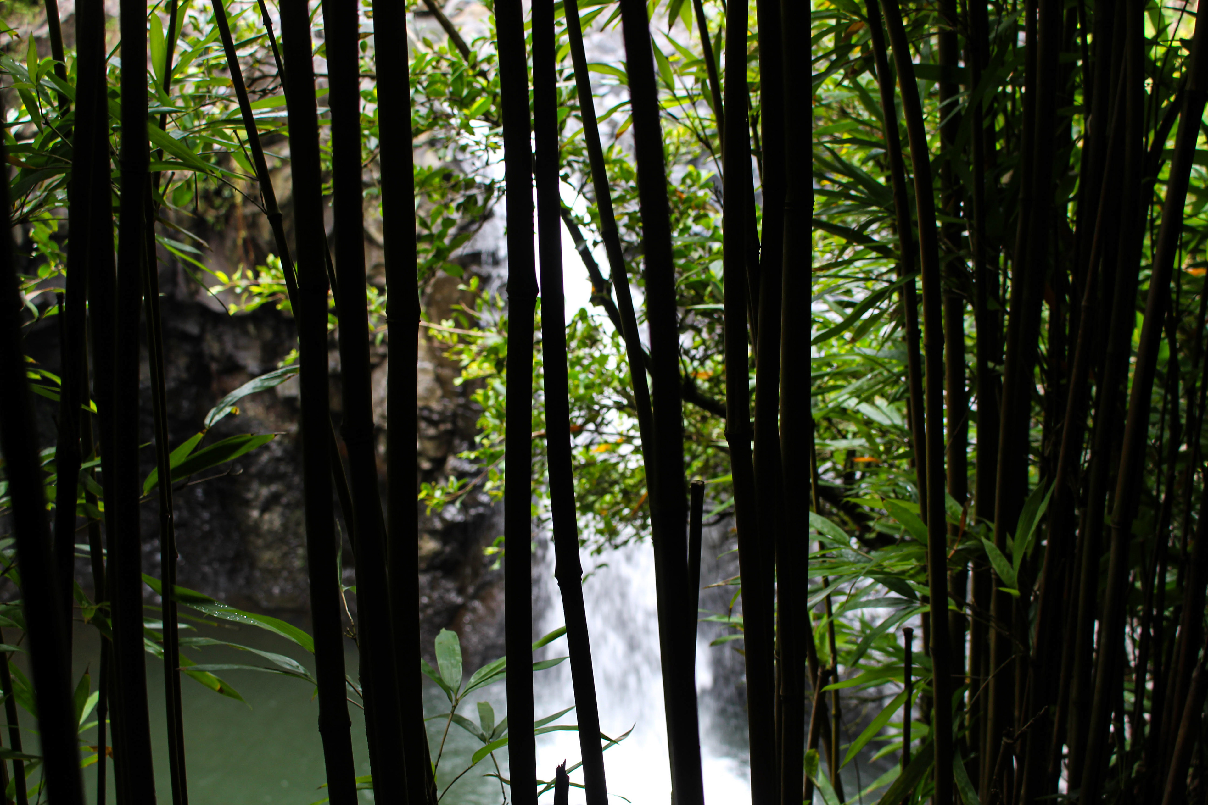 Haleakalā National Park