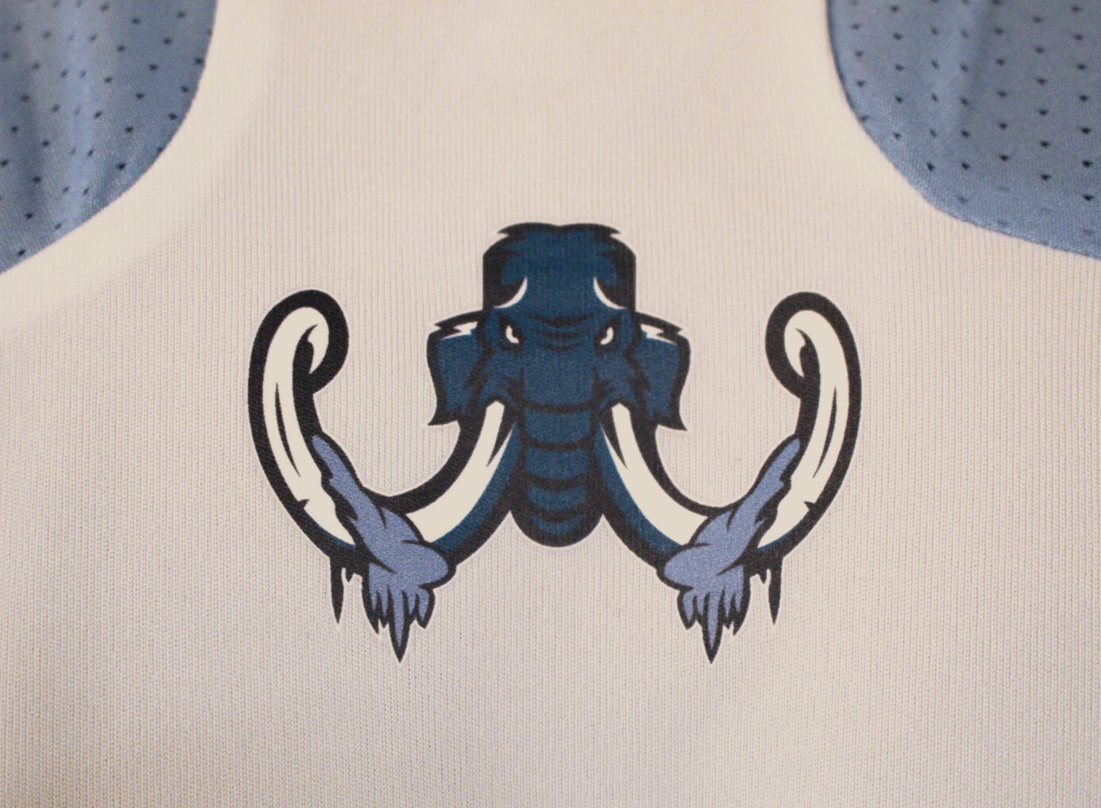 Senior Thesis Project: Fictional MLS Team "Montana Glaciers" Back Neck Jersey Logo Close-up