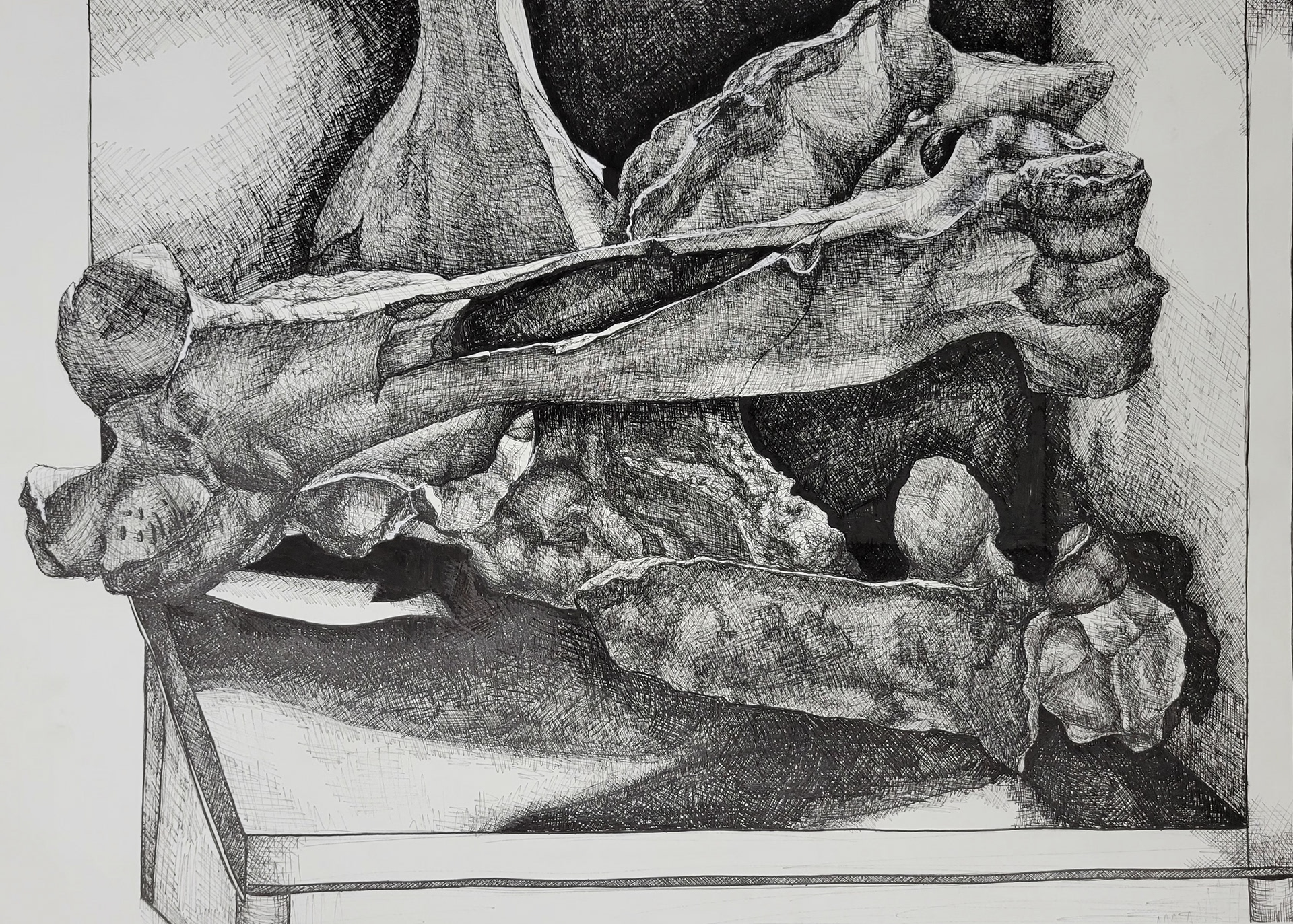 Animal Bone Still-life drawing (Ink pen)