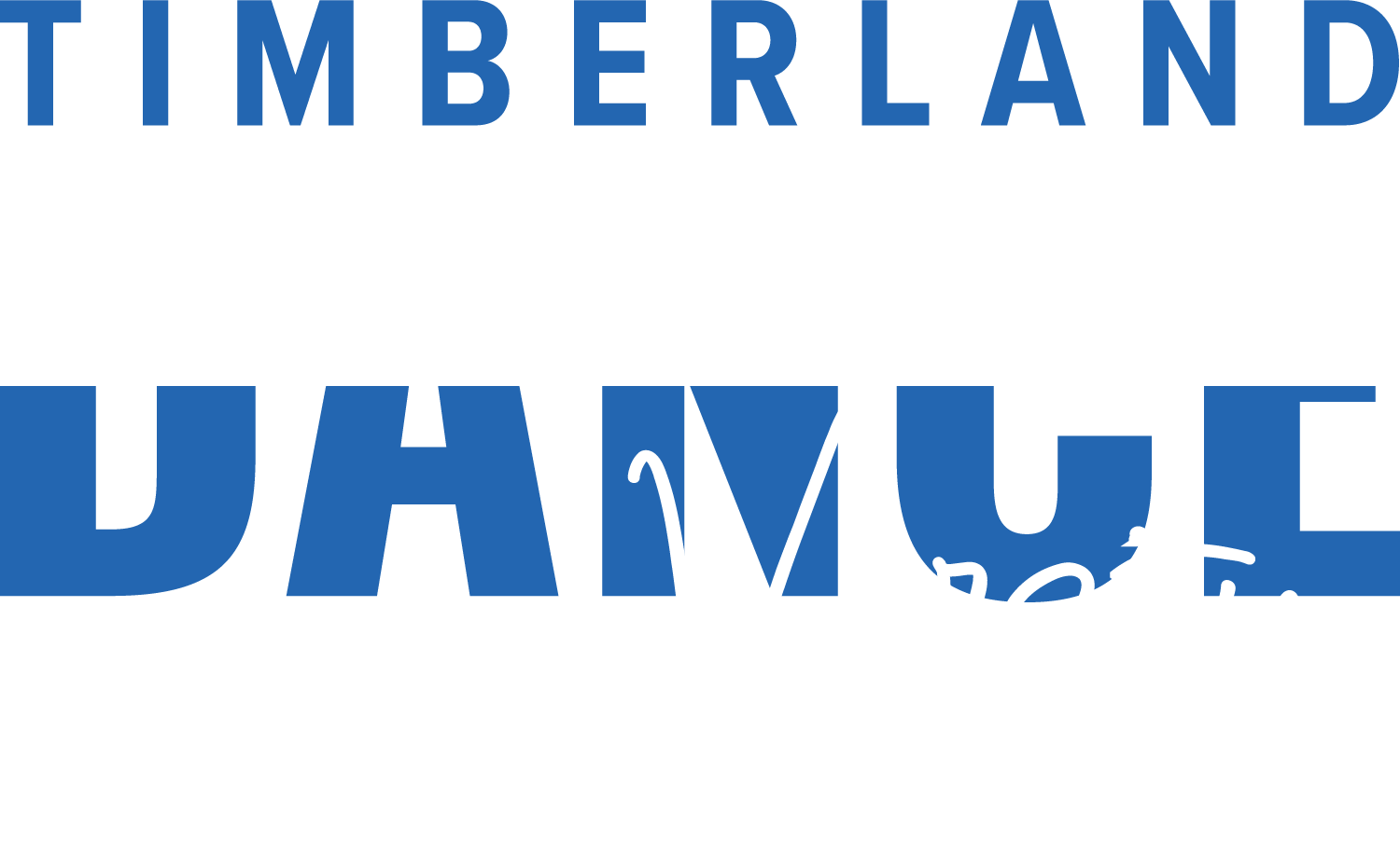 Timberland HS Dance Team