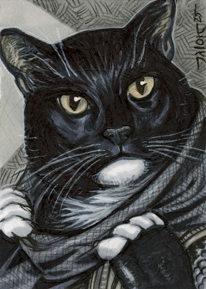 Kitty Rogue - 2025