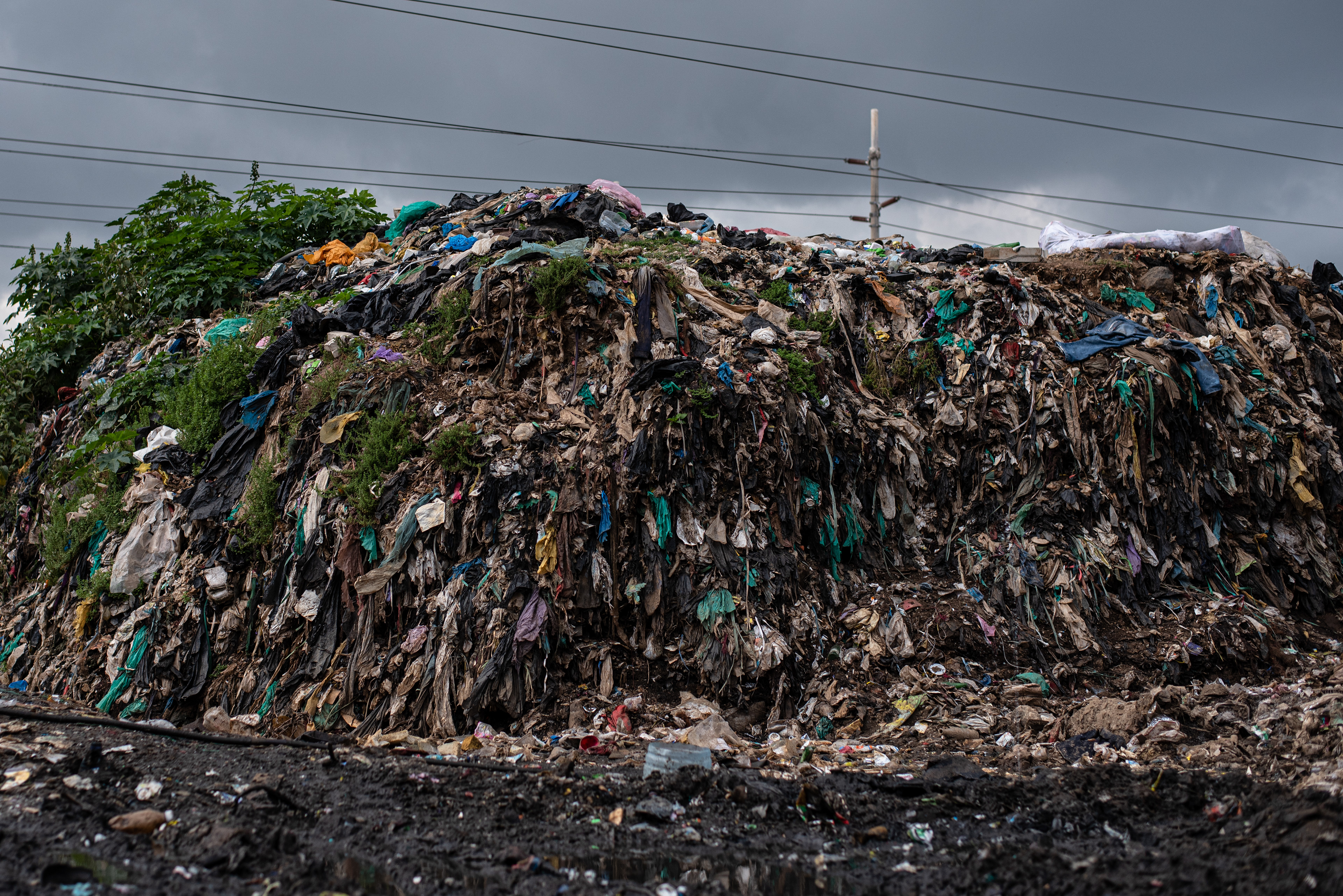 Dandora Landfill