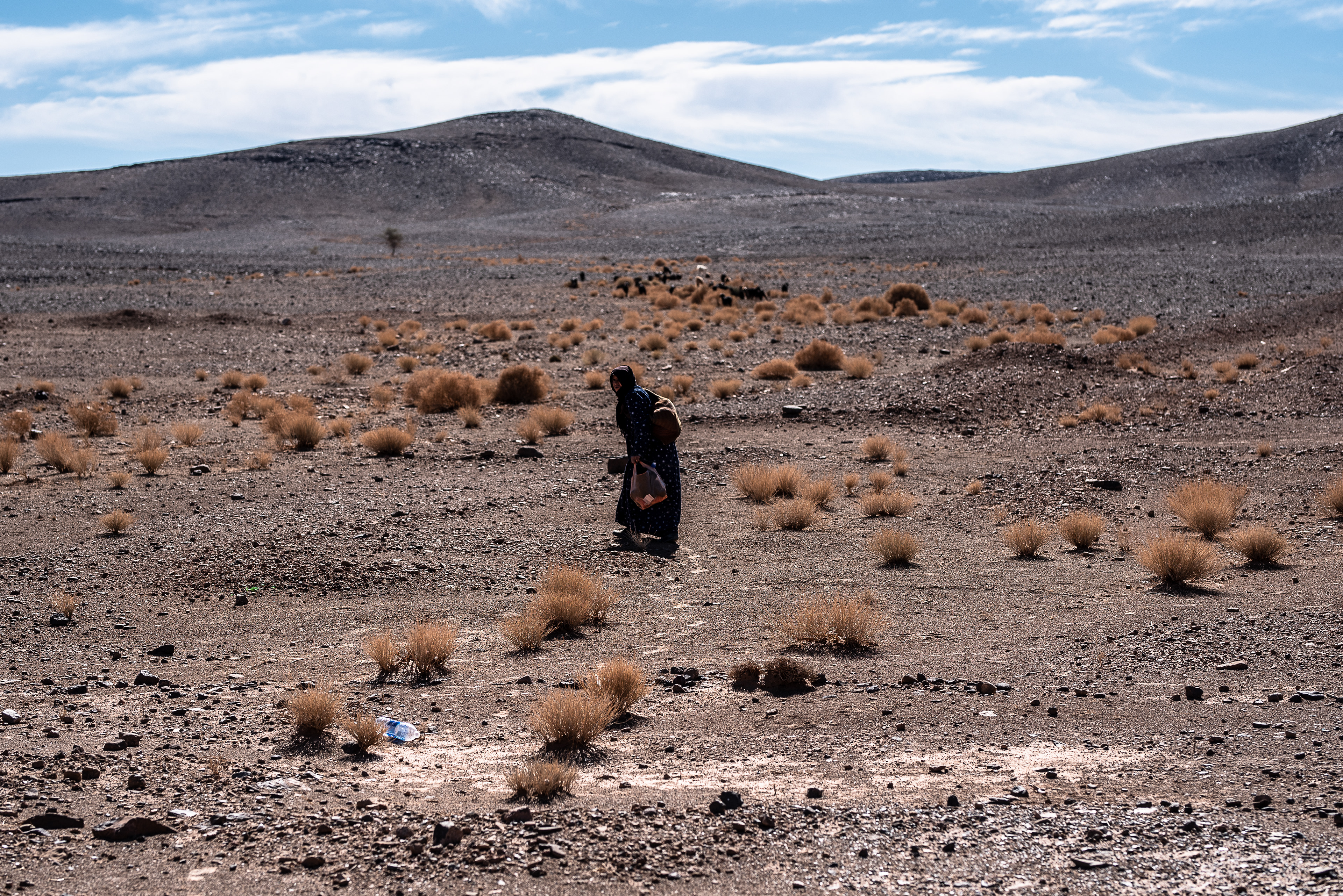 Fatima. Sahara desert. Berber Nomadism