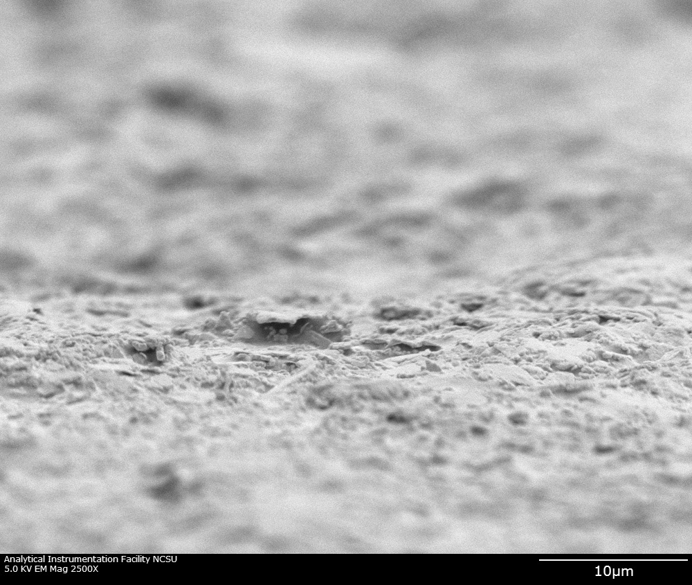 SEM, oblique view, 2500x