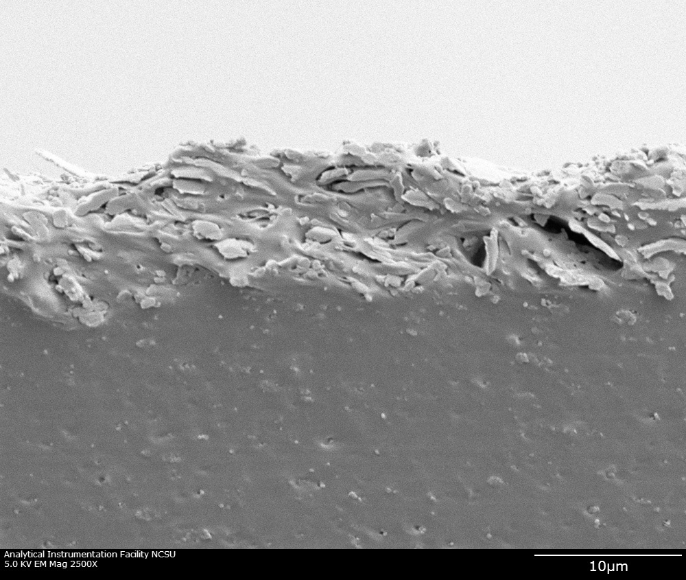 SEM Profile image of silver conductive polymer paste on Bemis tape