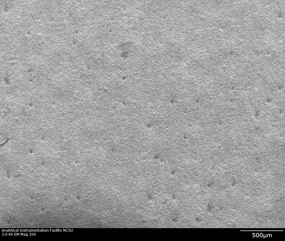 SEM, topographical view, 35x