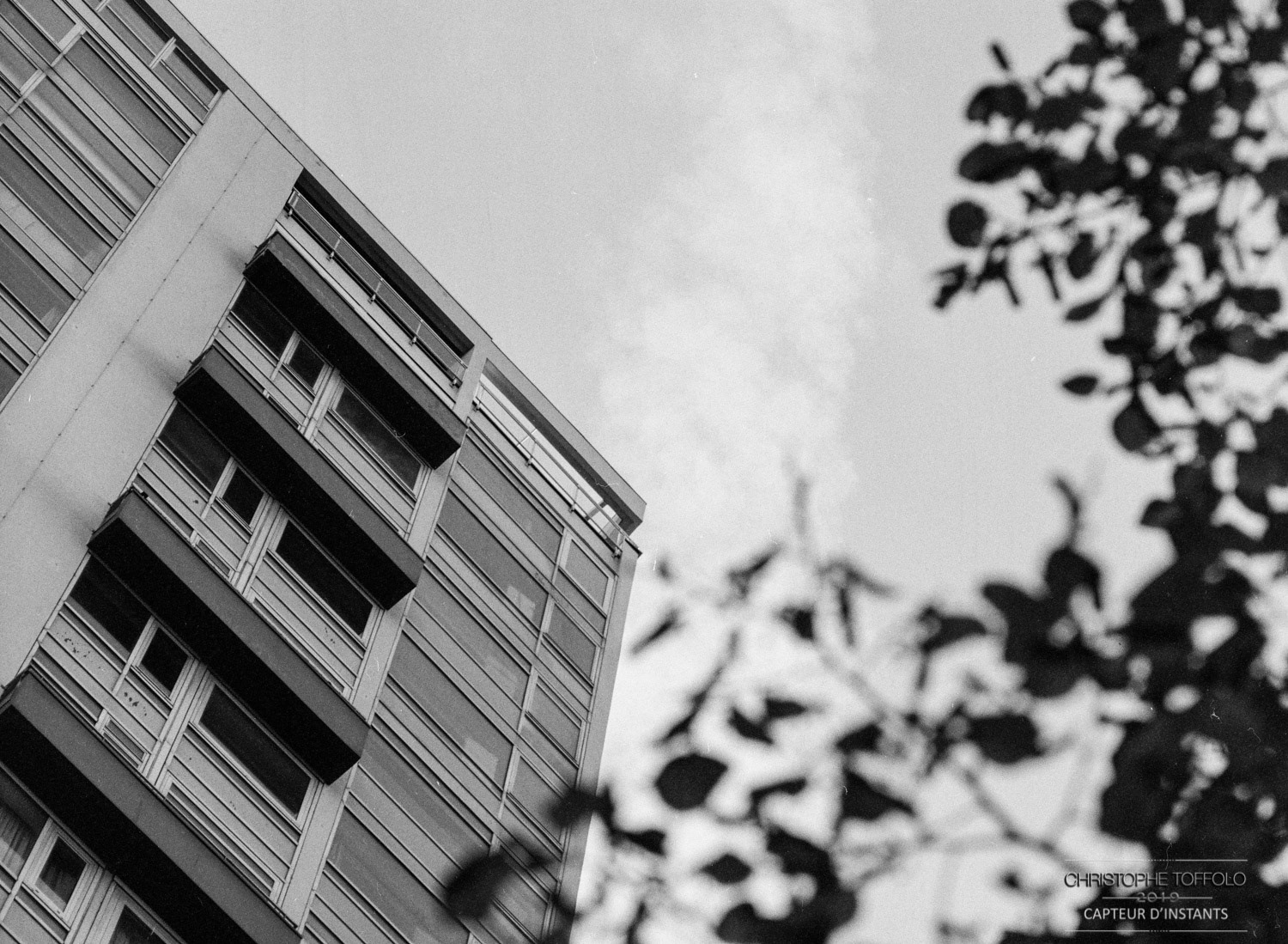 Tri-X 400 Sekor C 150mm 3,5