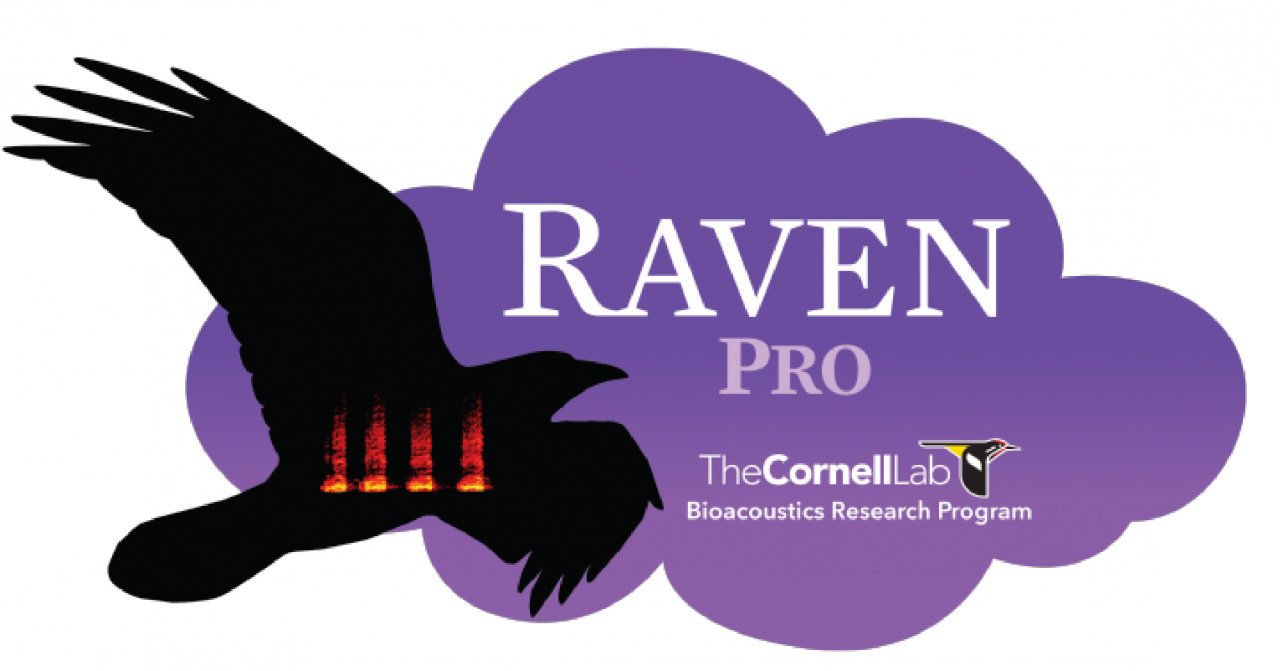 Software Raven