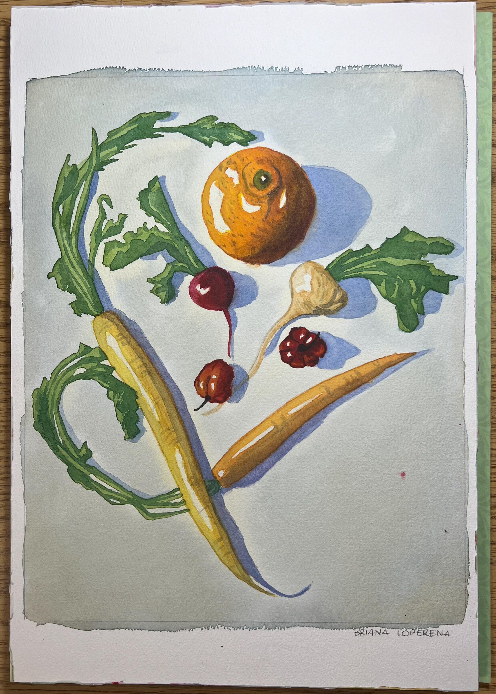 Table Top Still Life (watercolor, size: 15"x10.2")