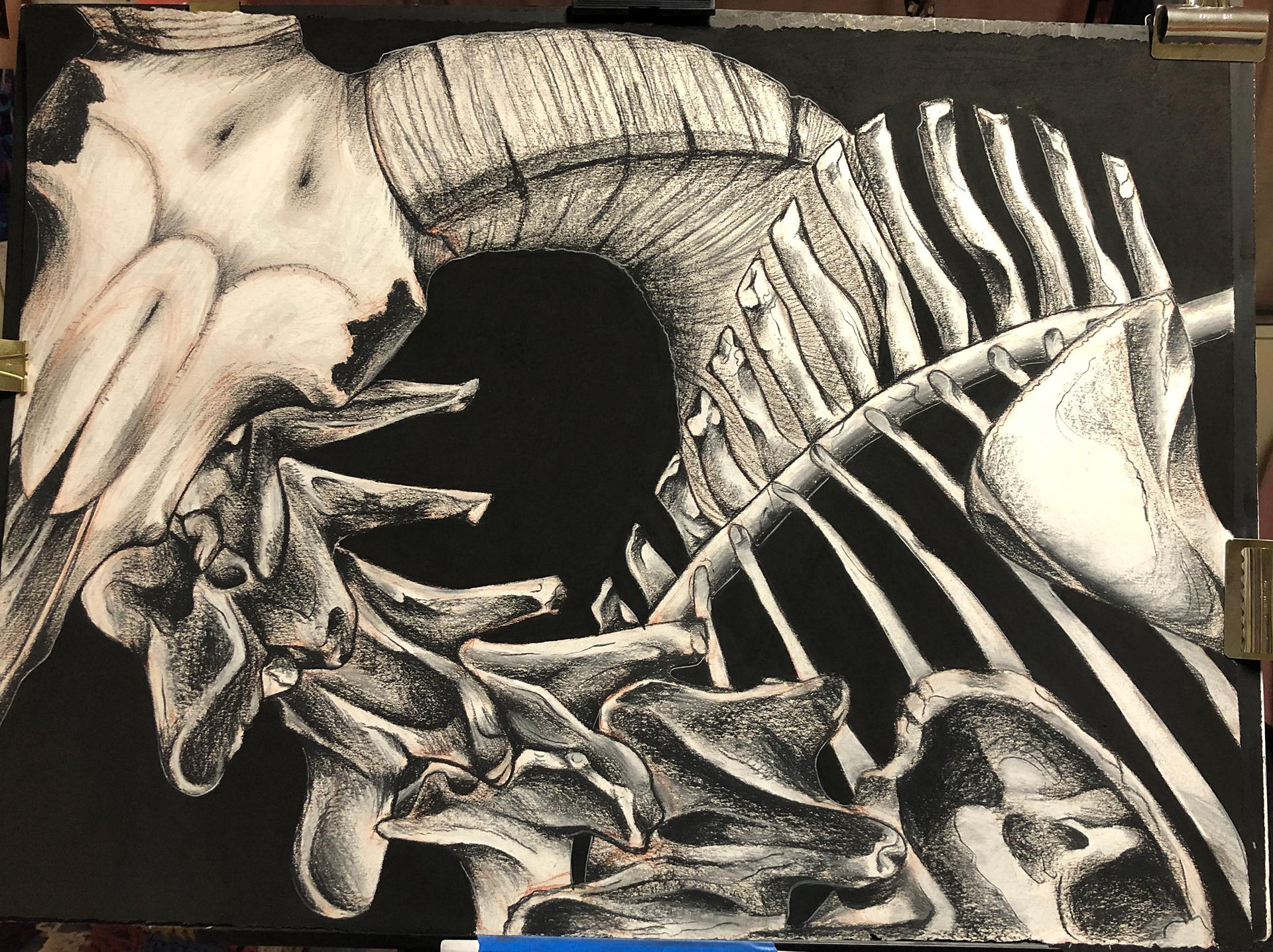 Ram Study (conte crayon and charcoal, size: 2.5'x3')