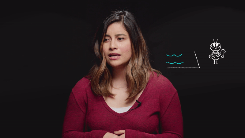 That's often called a 'good first bug'