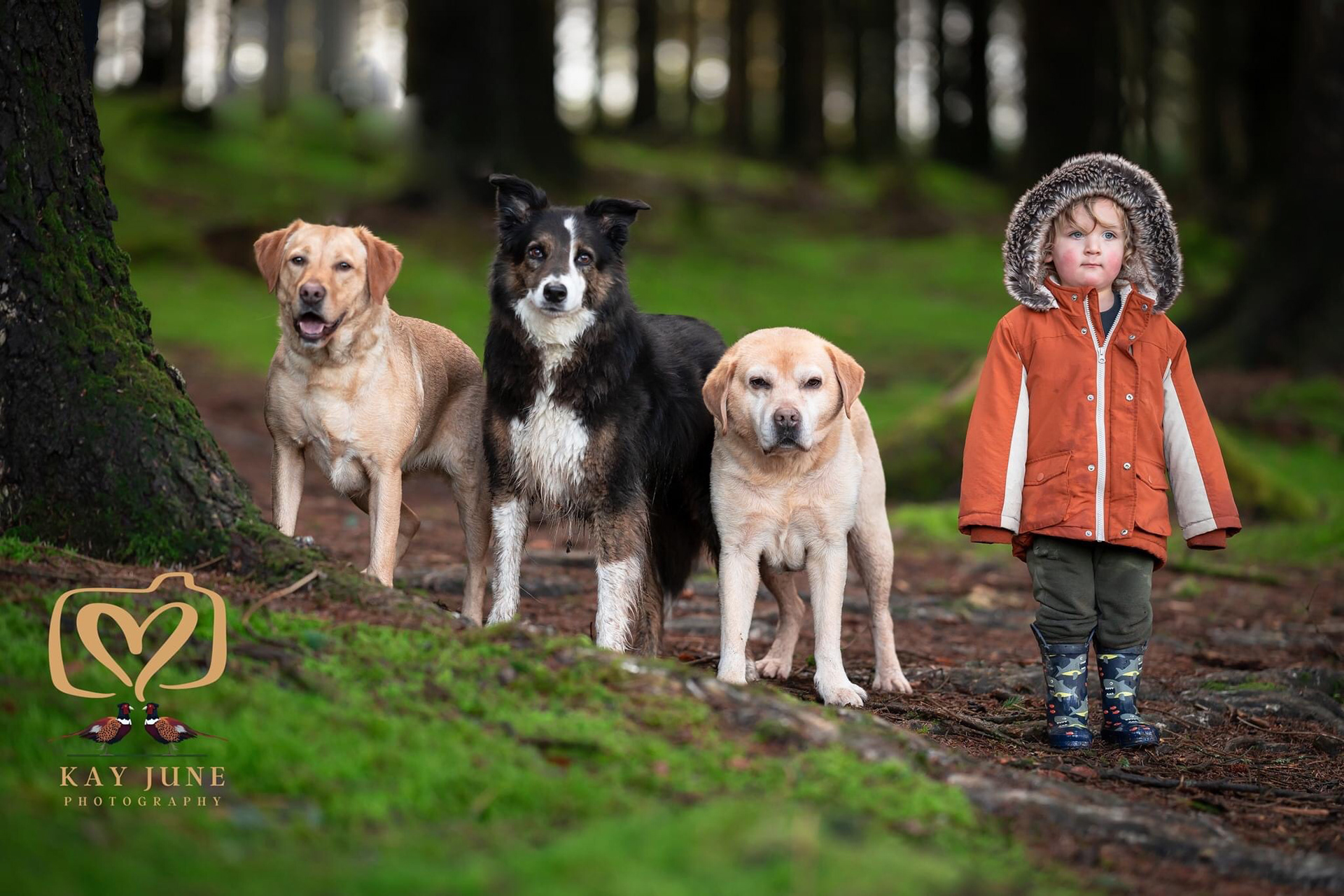 Three dogs and a toddler in the woods