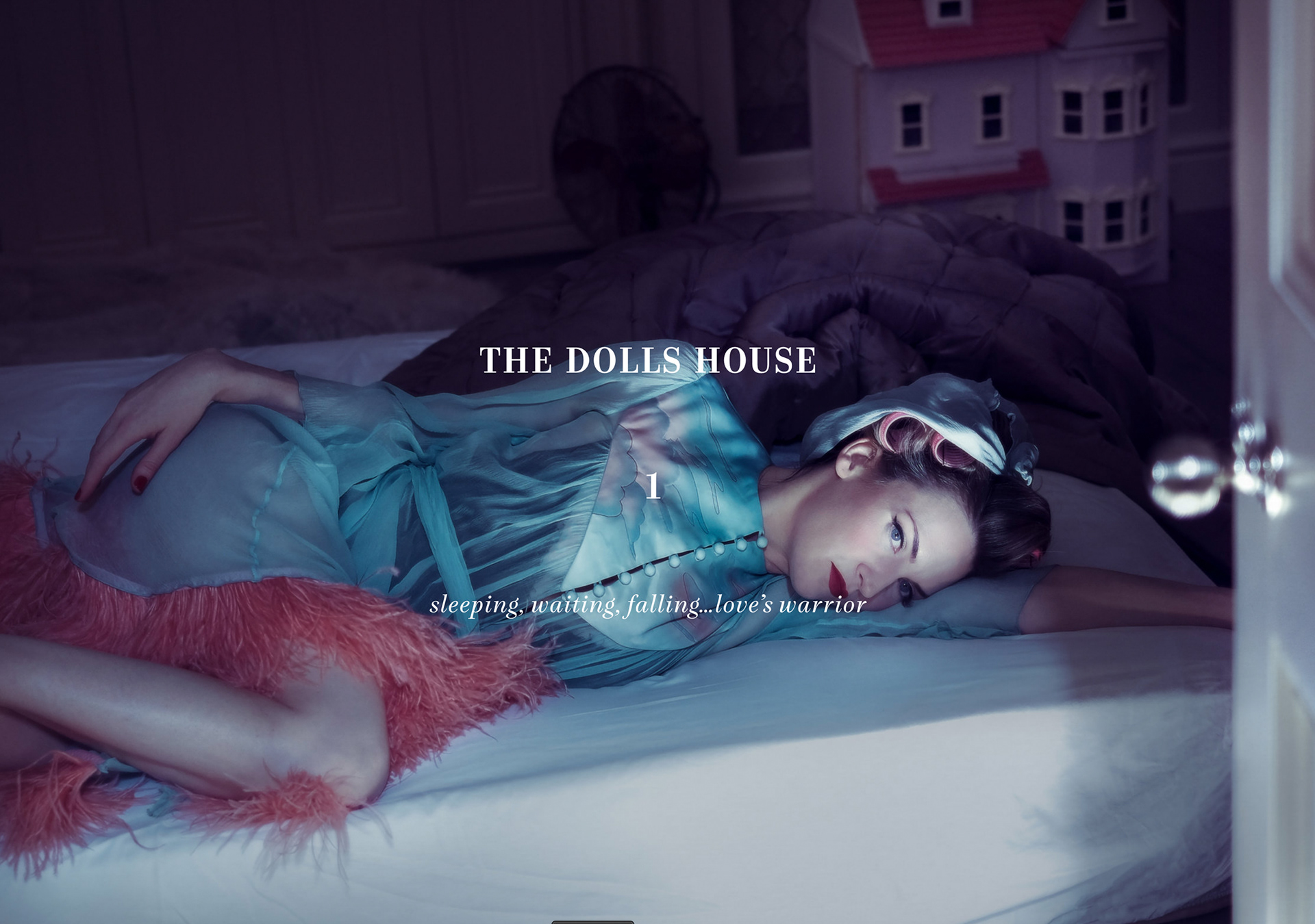 Nire Bird by Michelle George 