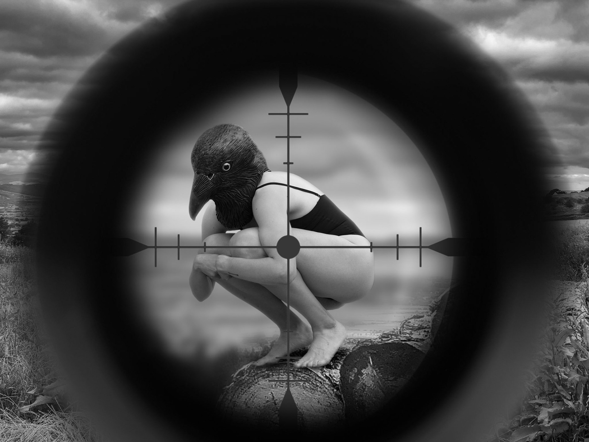 Culling Corvids #1