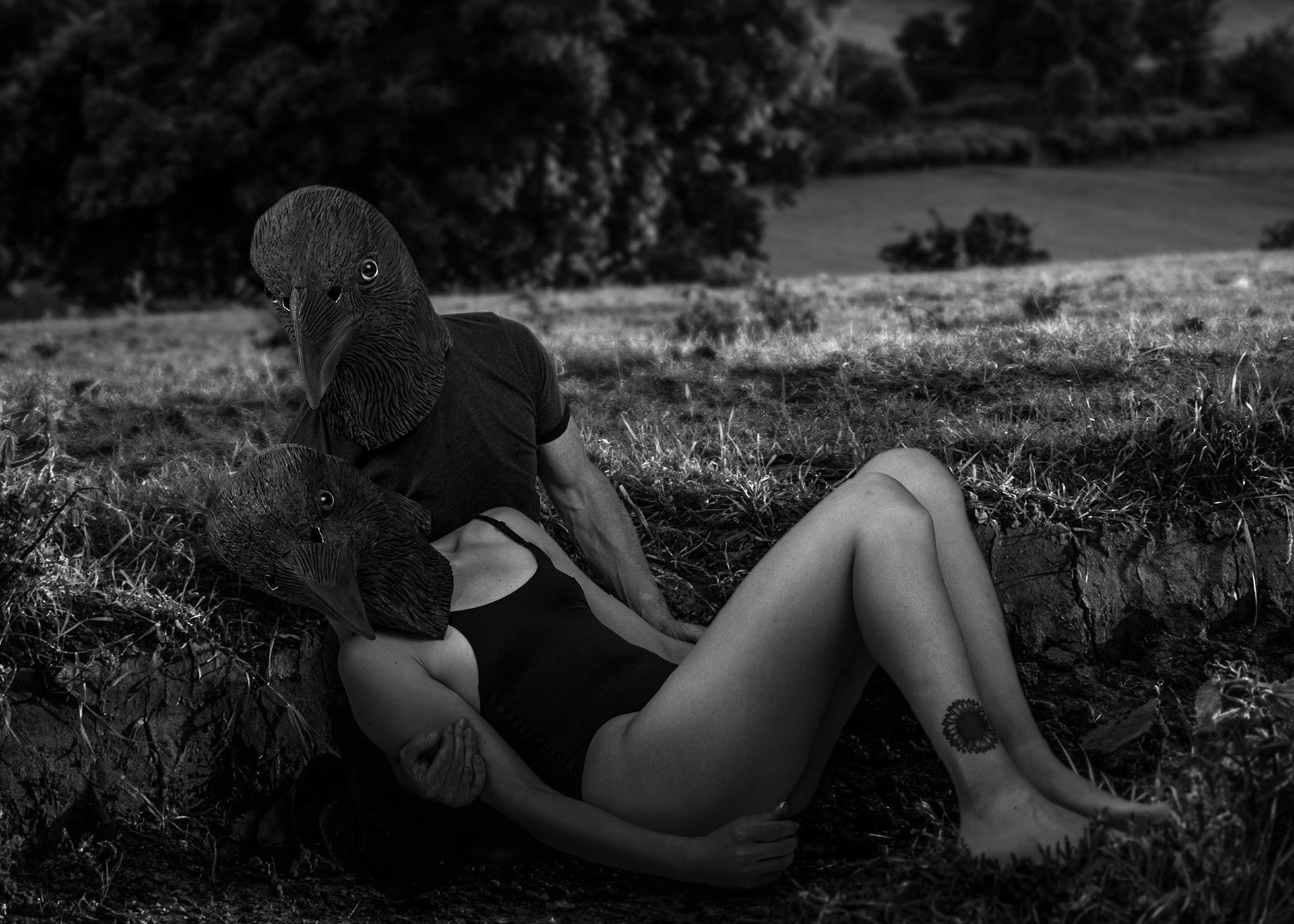 Culling Corvids #2