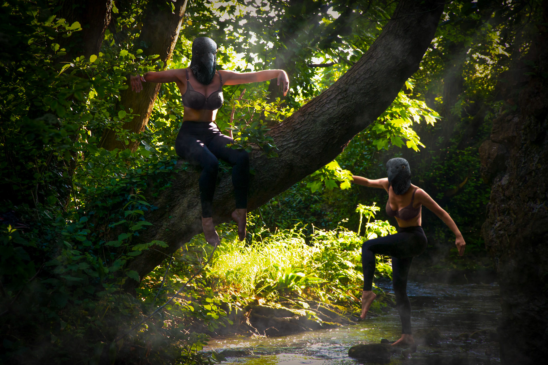 High and Low Flying Birds #1