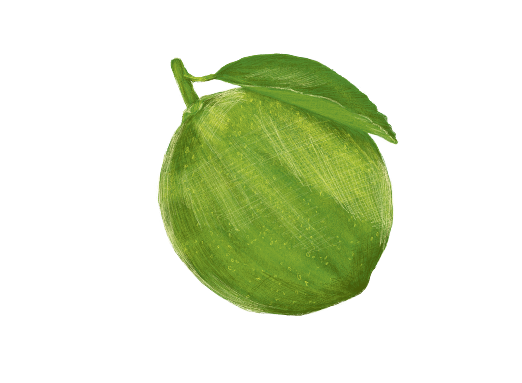 Limette – Buchprojekt Wald & Wiesenküche
