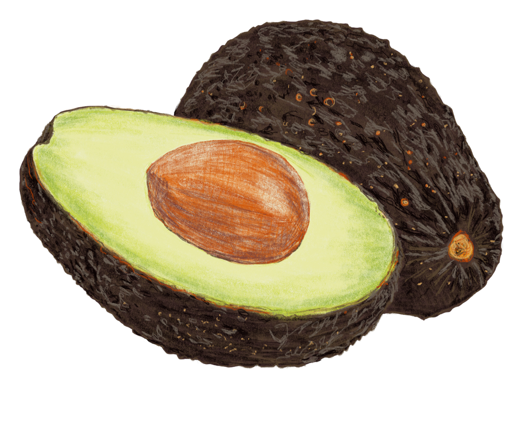 Avodaco – Buchprojekt Wald & Wiesenküche