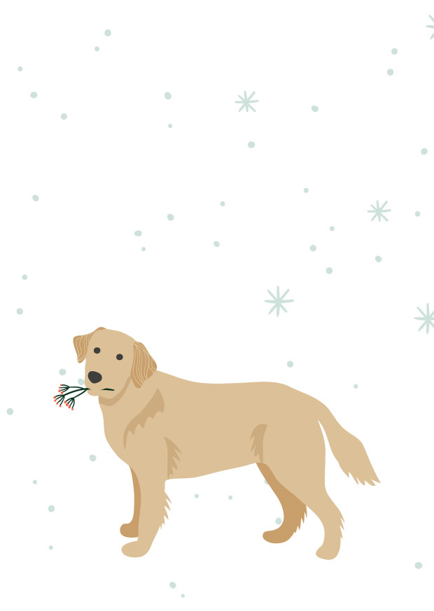 Illustration Weihnachtskarte 2019