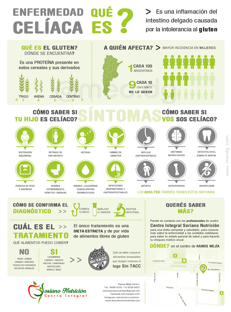 DISEÑO INFOGRAFÍA: ilustraciones - iconografía - gráficos