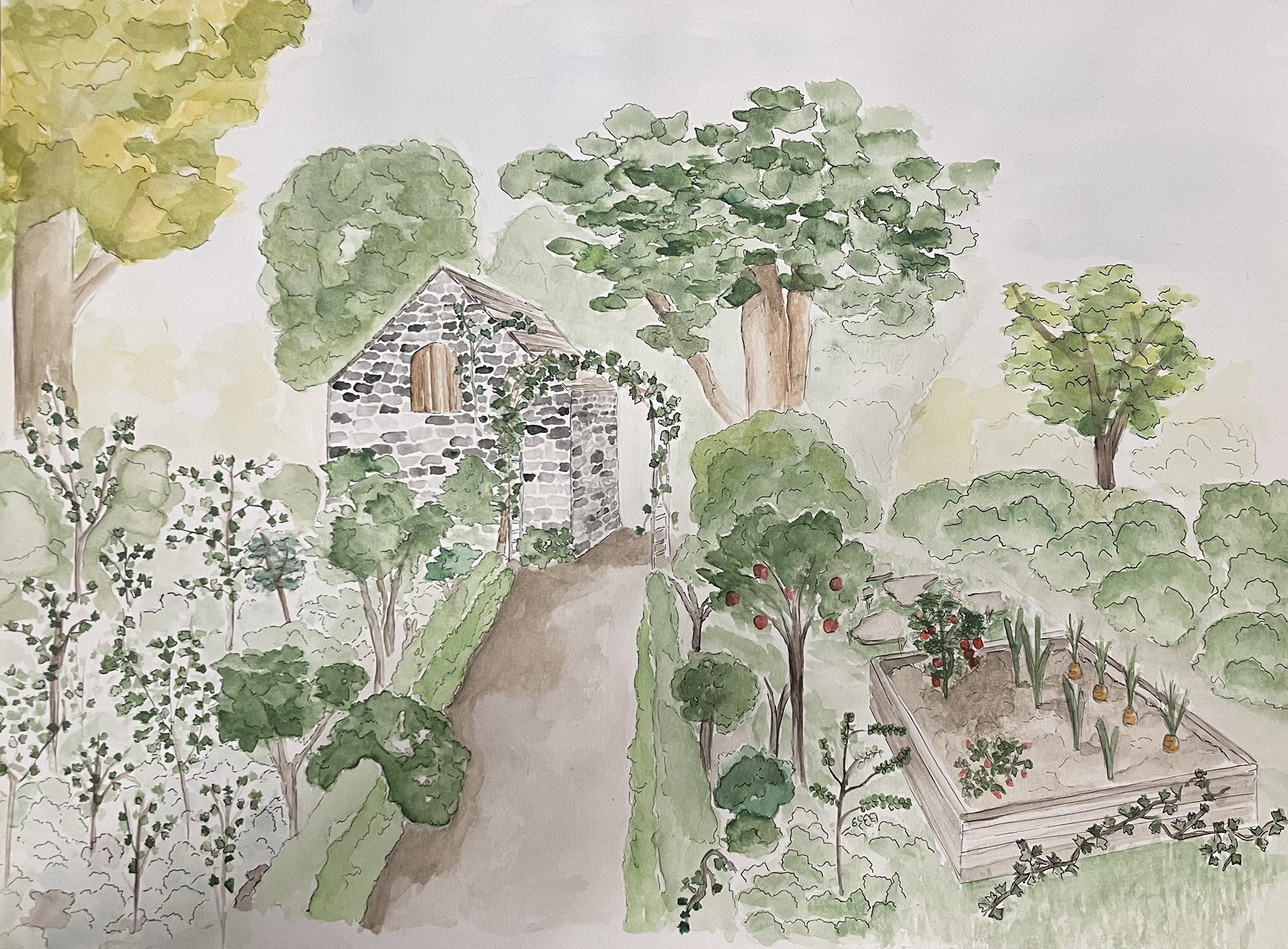 Aquarelle