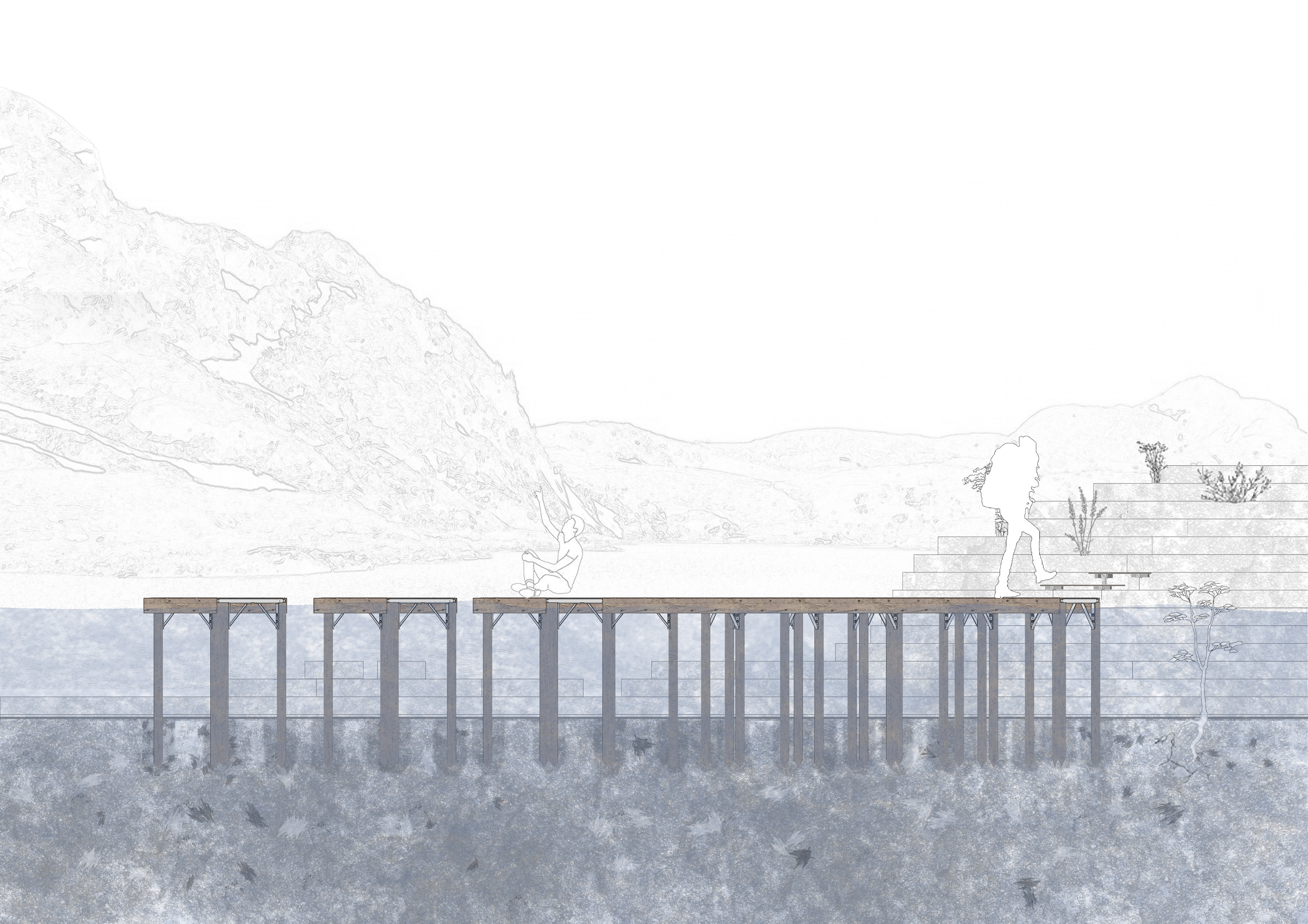 Coupe de projet : La plateforme