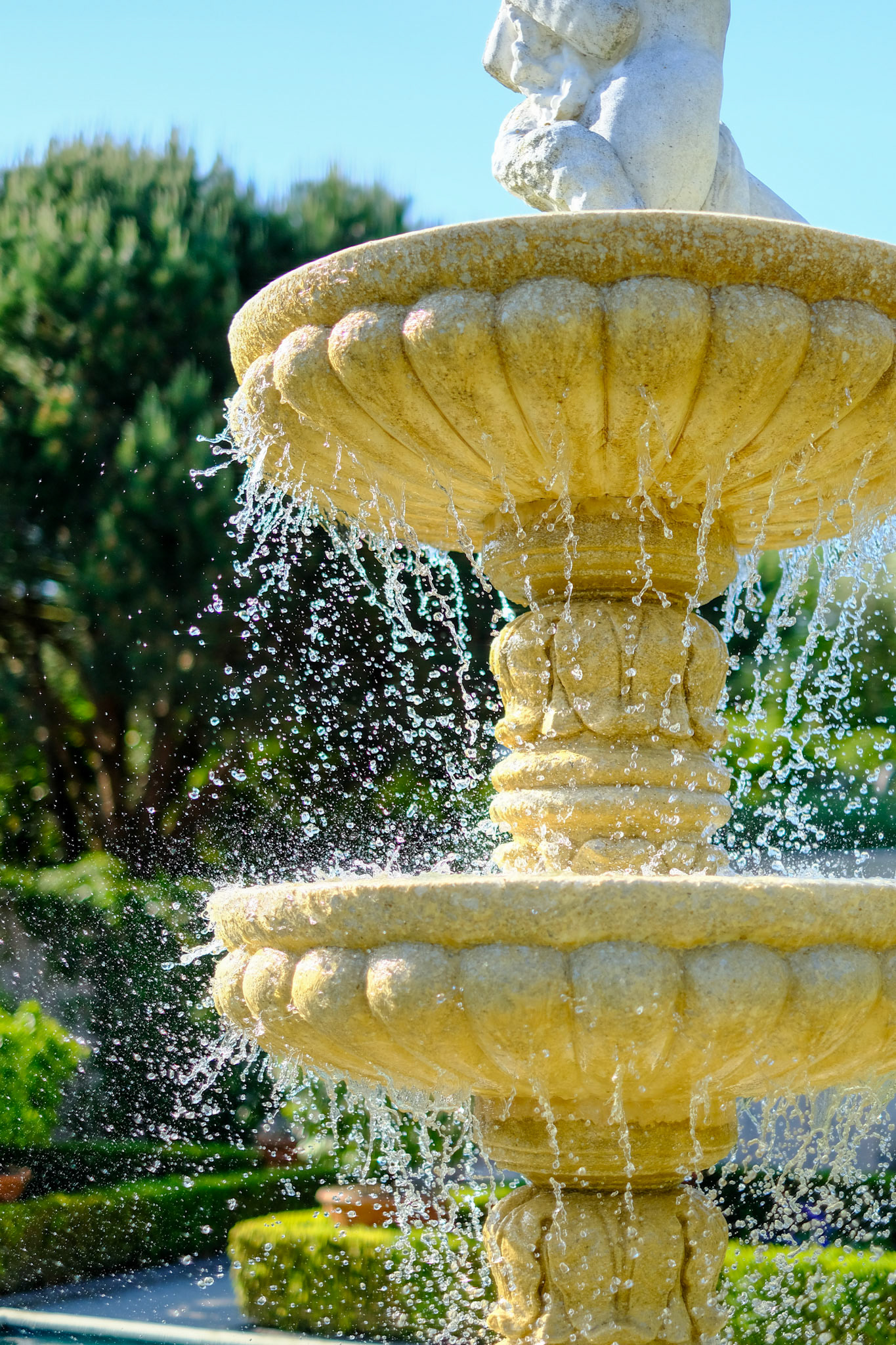 Hamilton Gardens