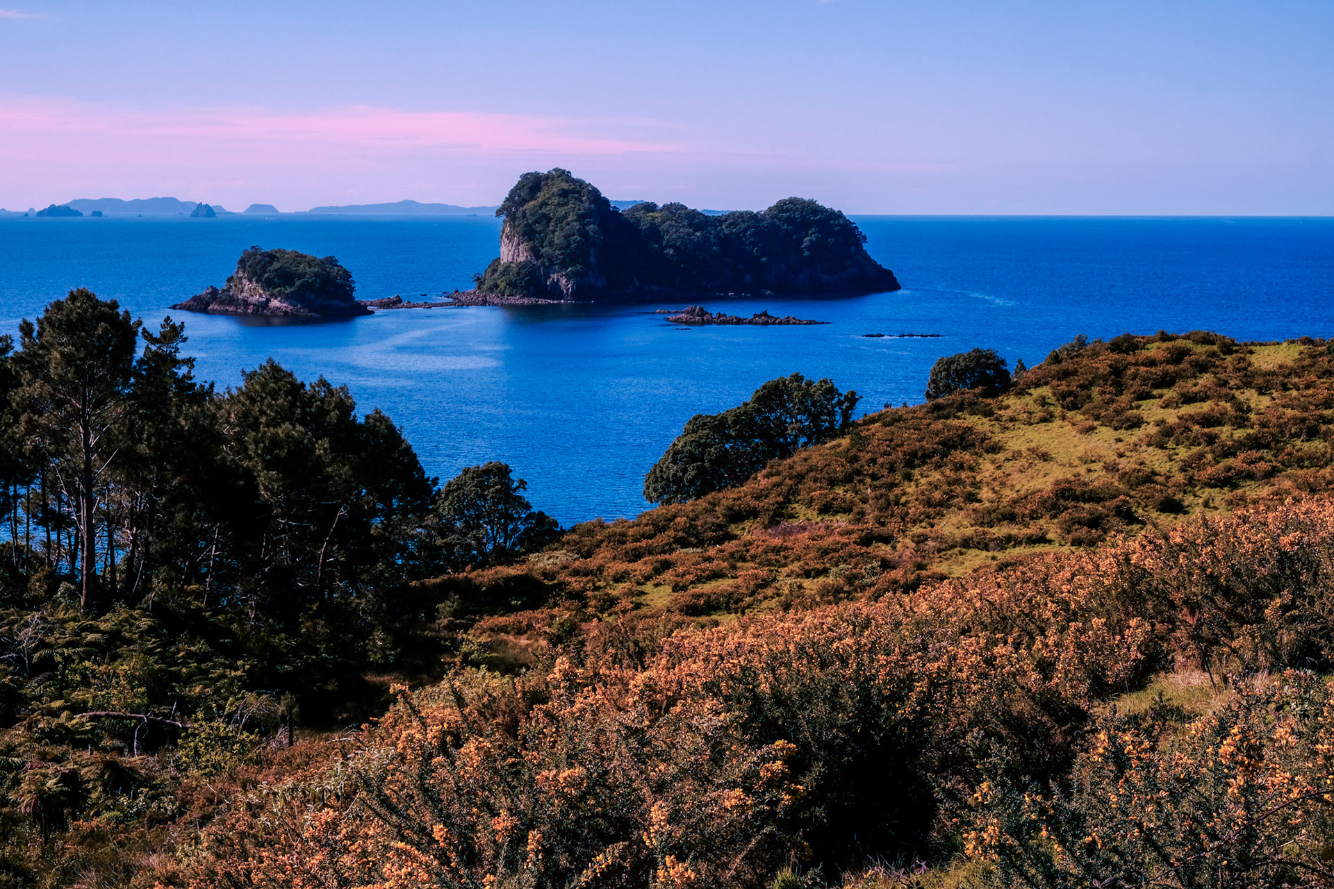 Cathedral Cove
