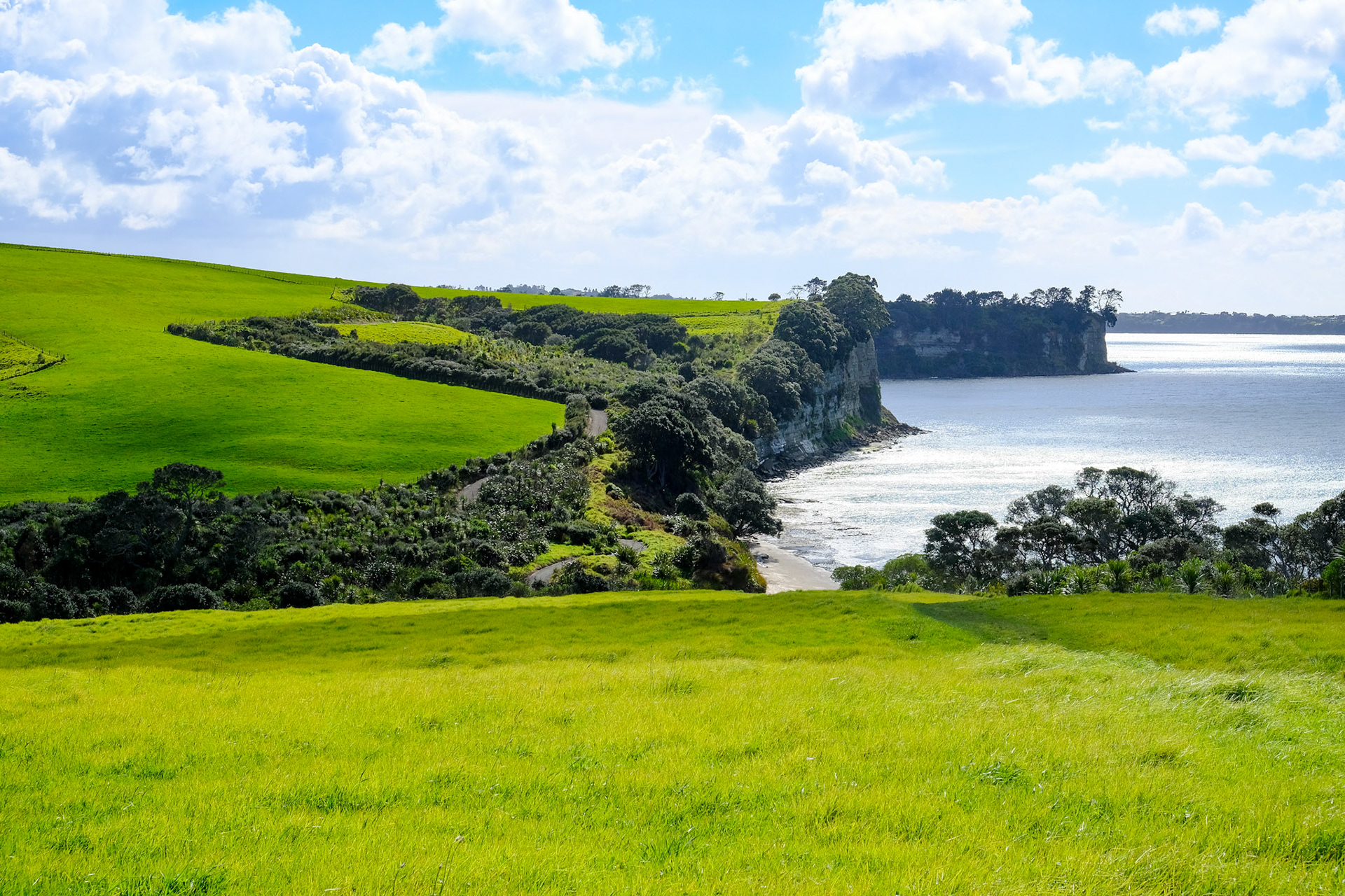 Shore Track at Long Bay Regional Park