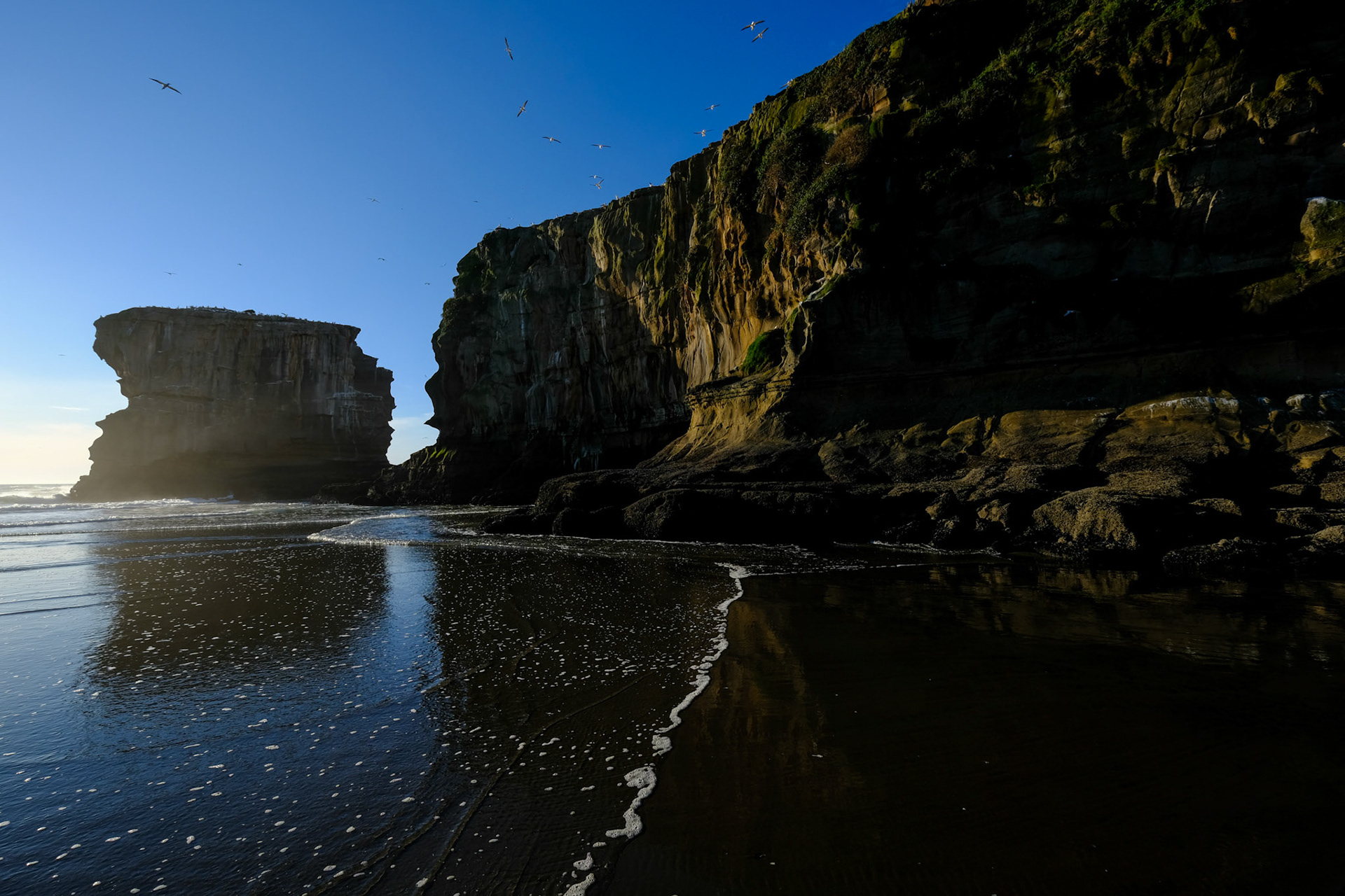 Muriwai Scenery