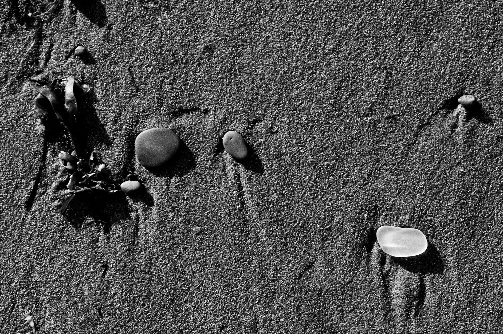 This is one of several pieces of sea glass I found while walking  along Sunset Beach near Nail Pond in P.E.I.  The horizontal morning light really catches these pieces of glass.