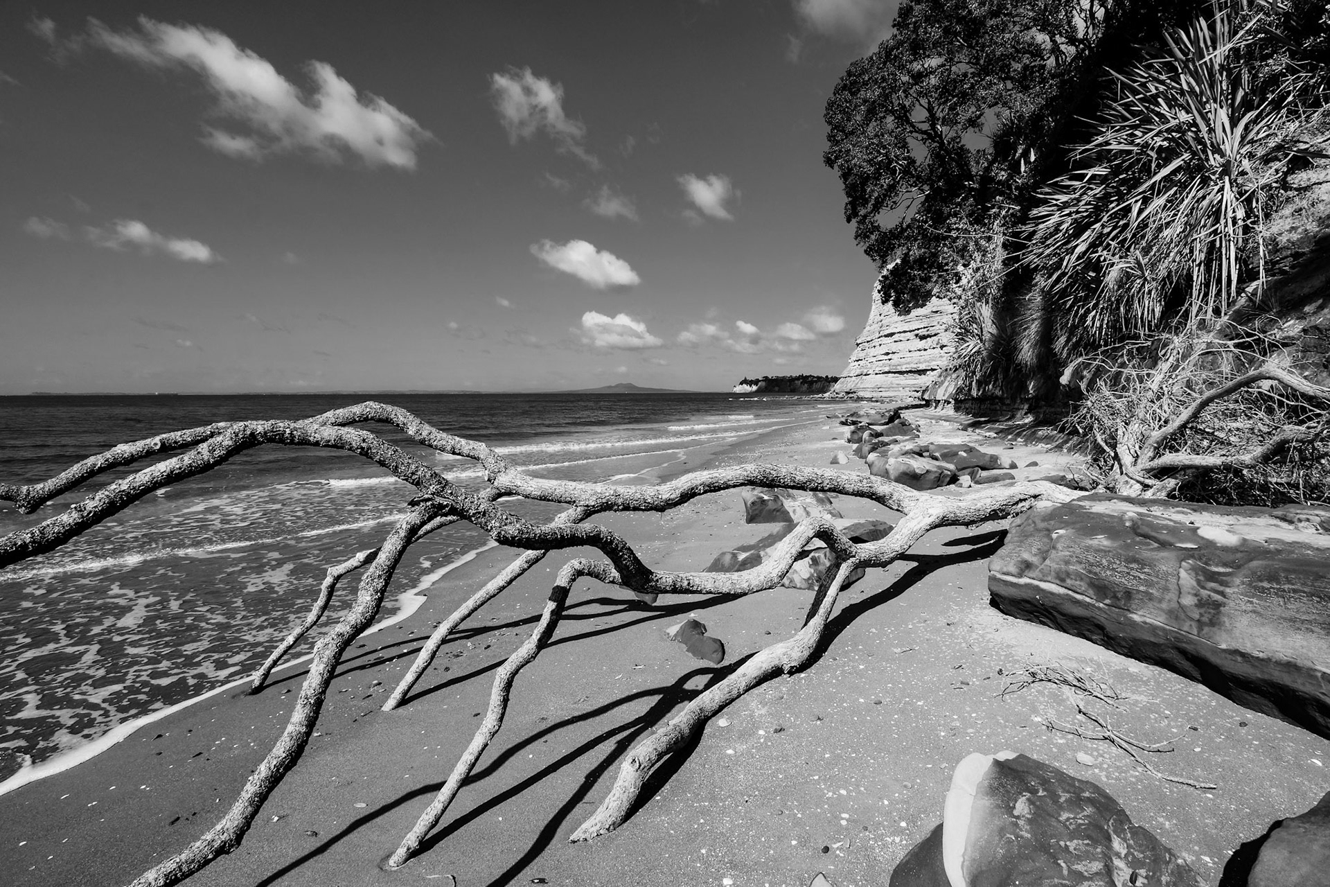 Black and White Version