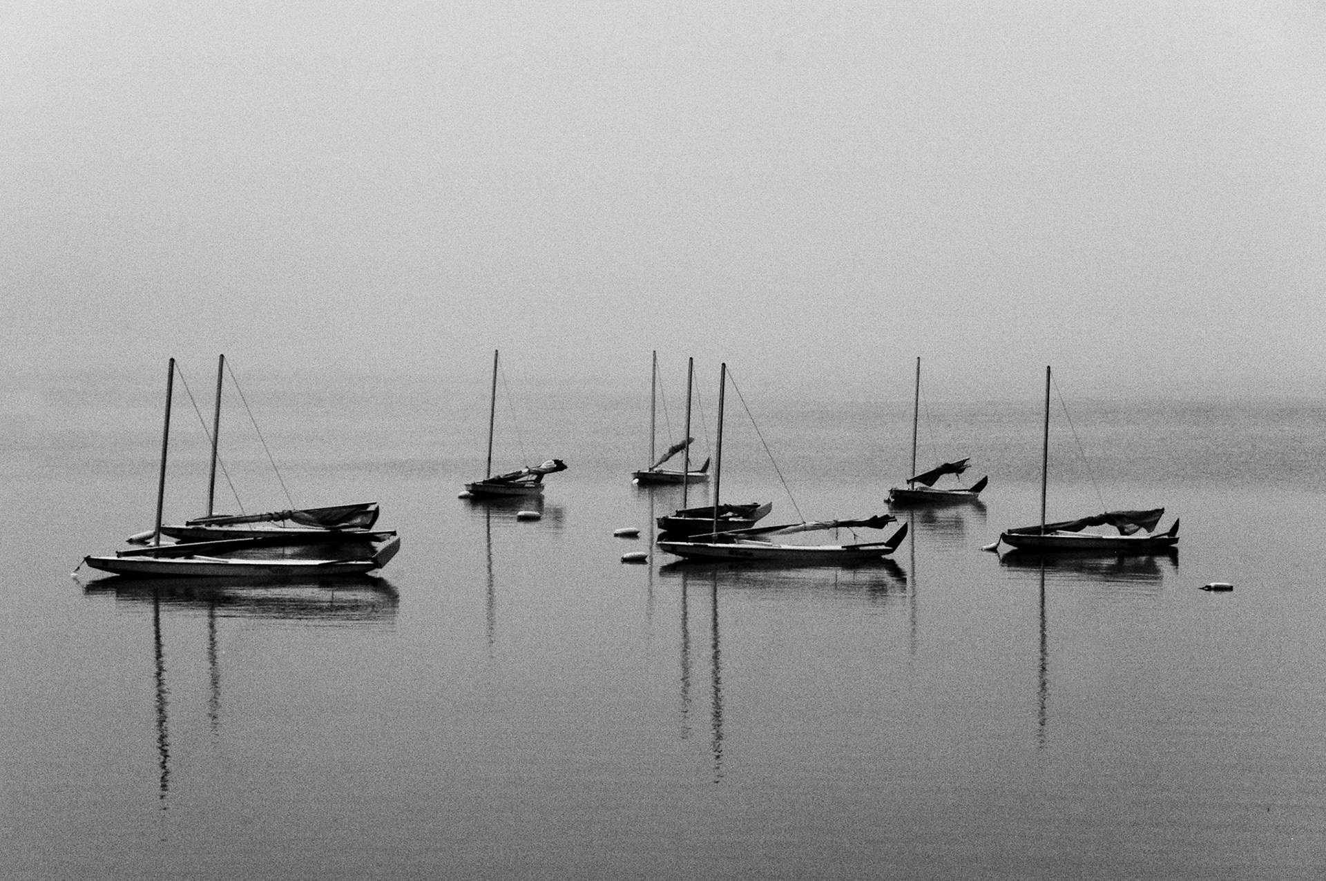 This was taken at Camp Wanocksett near Jaffrey, New Hampshire.  When we went down for our early morning swim, we found that Thorndike Pond was encircled by a moderate fog.
