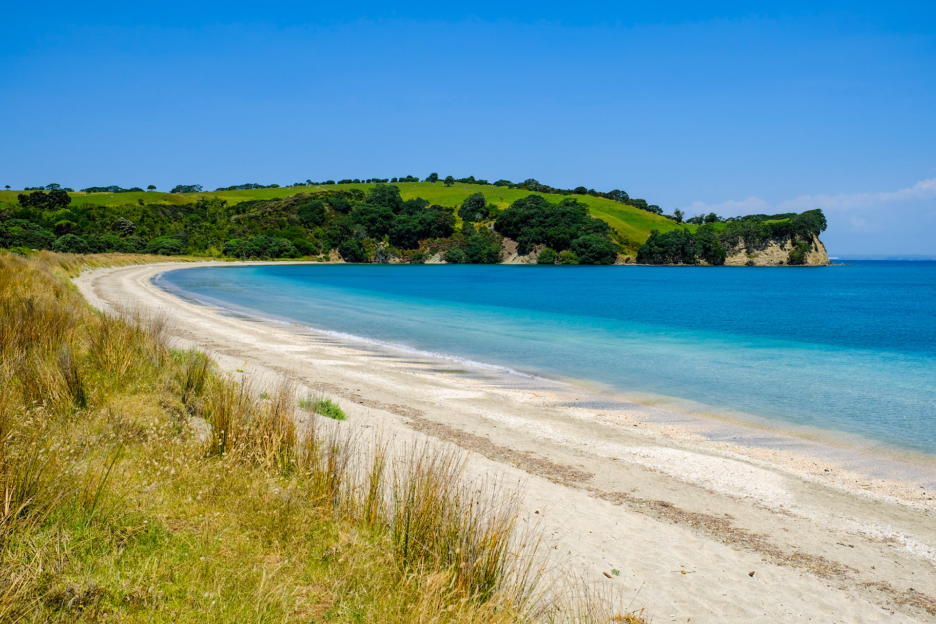 Shakespear Regional Park