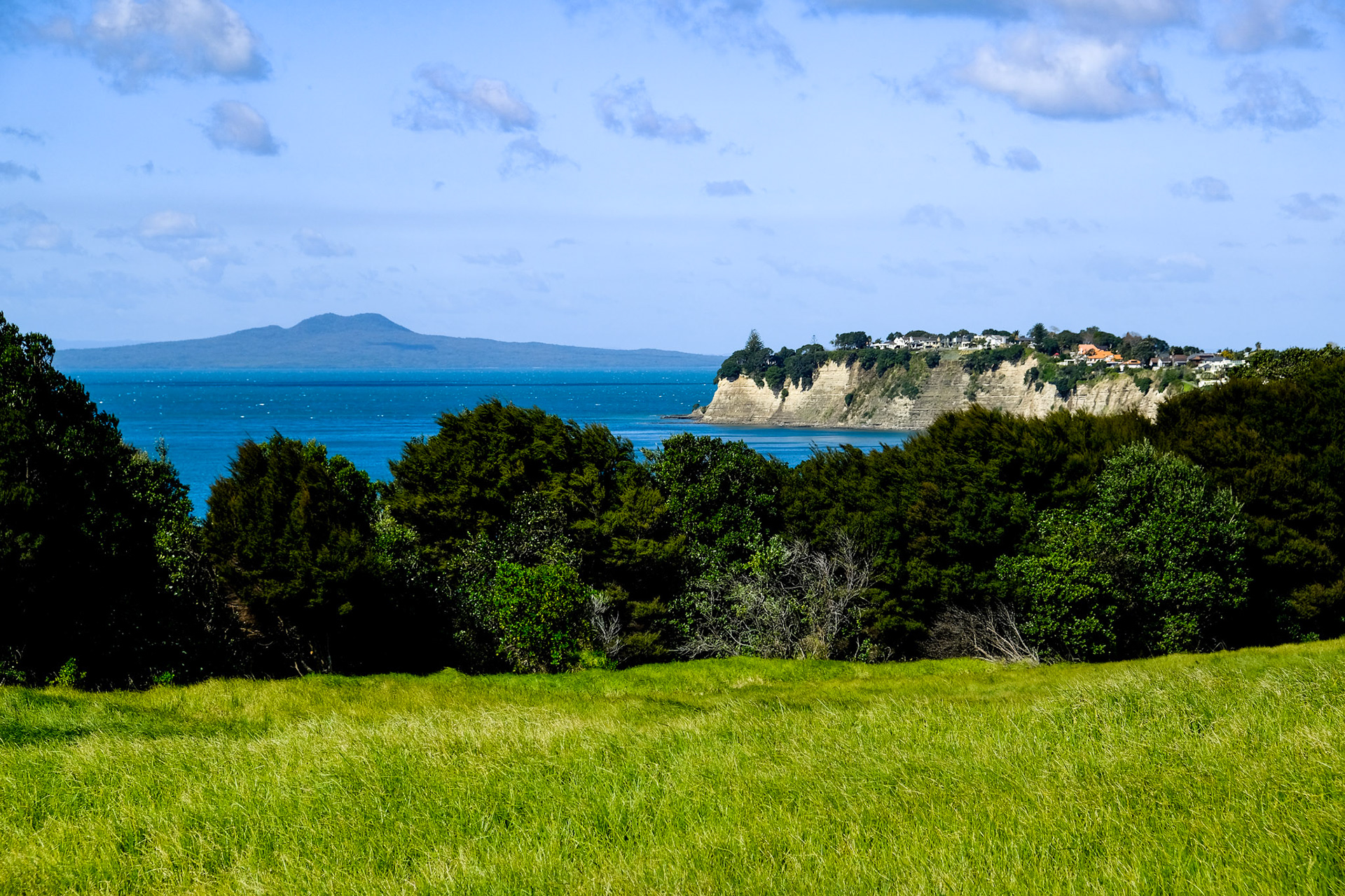 Shore Track at Long Bay Regional Park