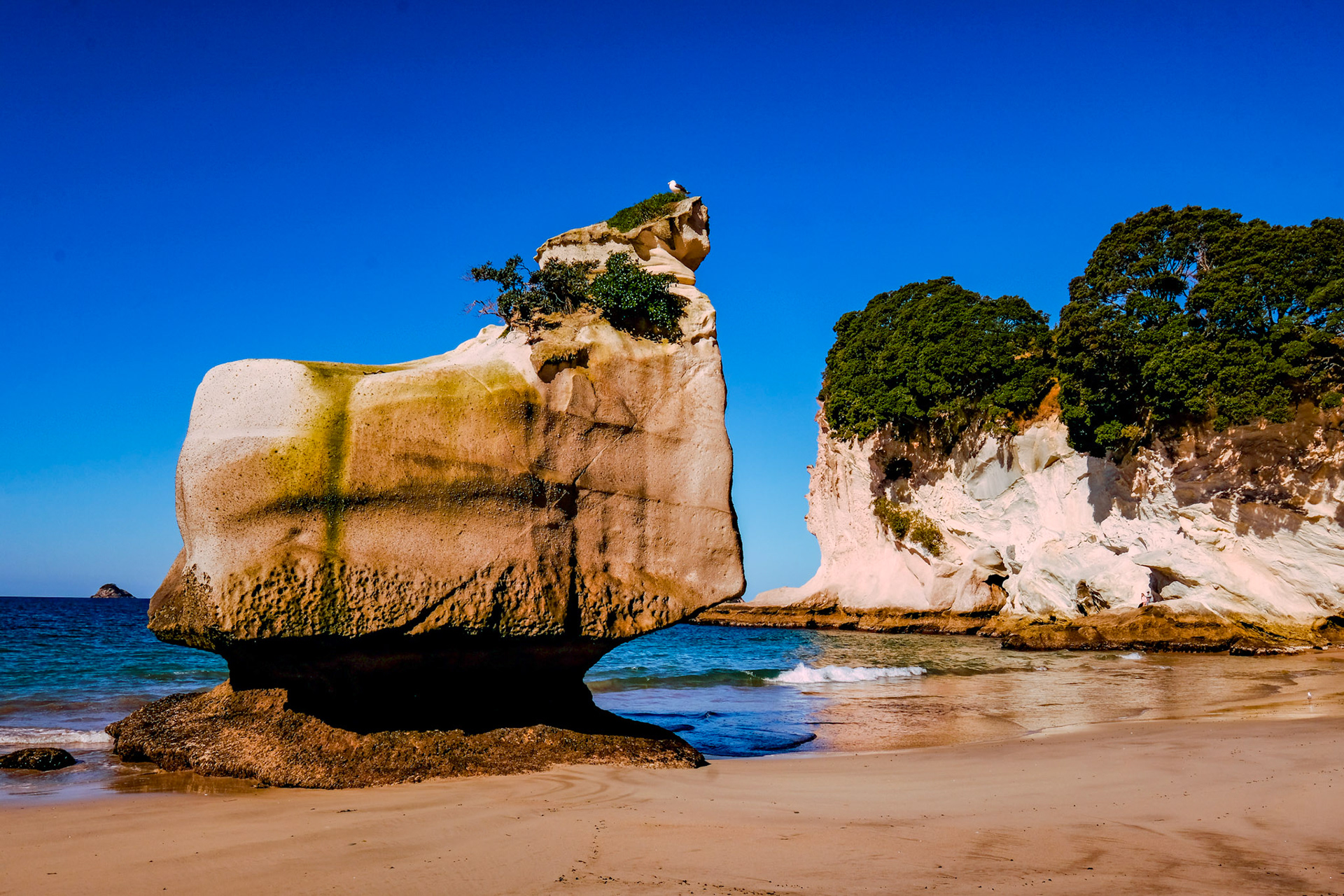 Cathedral Cove