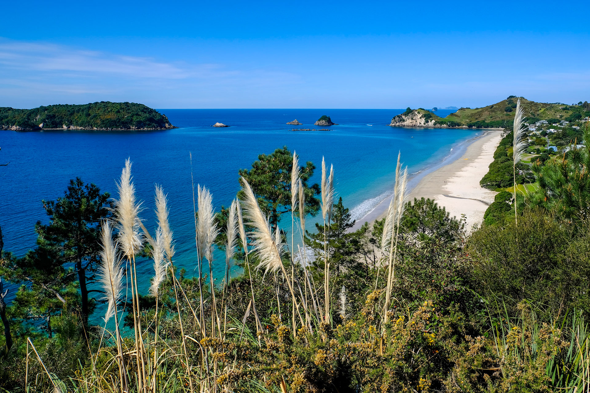 Hahei Beach