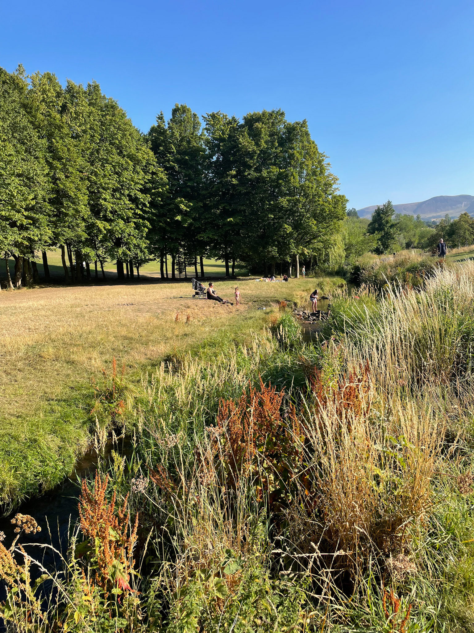 Not a particularly creative or imaginative picture but it captures this dry and sunny August. Hear, cloudless skies, kids playing in the burn. With the Pentlands always in the background.
