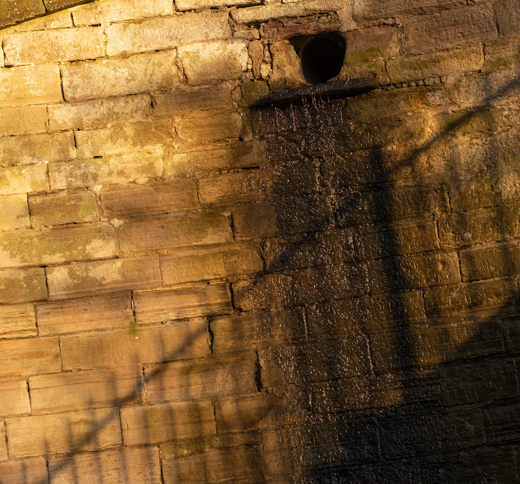 Patterns on the wall where the Braid Burn runs under the main road. The texture and shadows were brought out by the low winter sun.