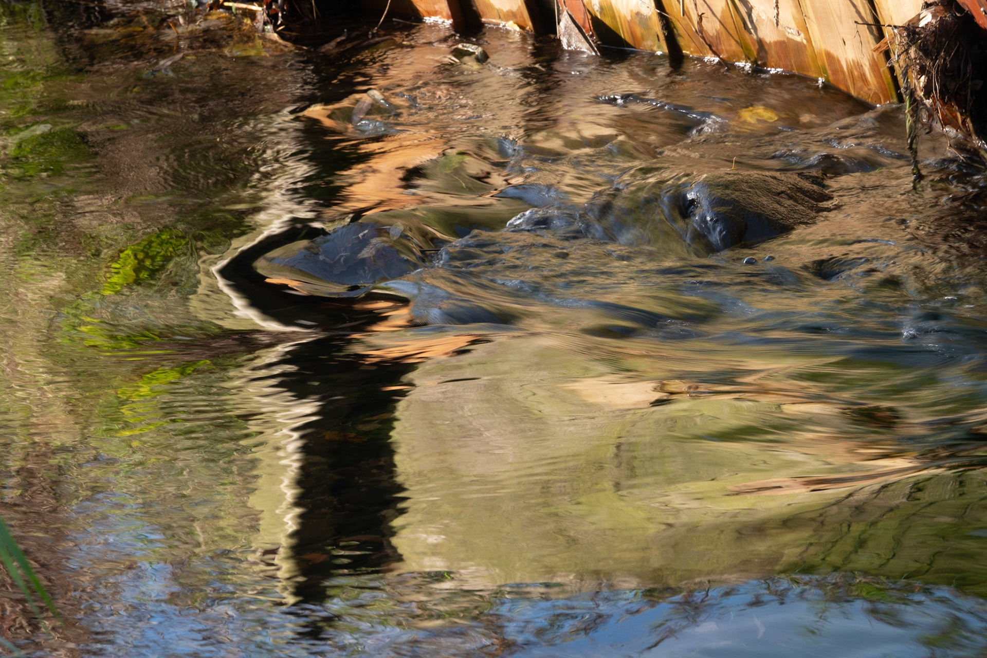 I liked the abstract patterns created by the reflections of the wooden battens in the burn.