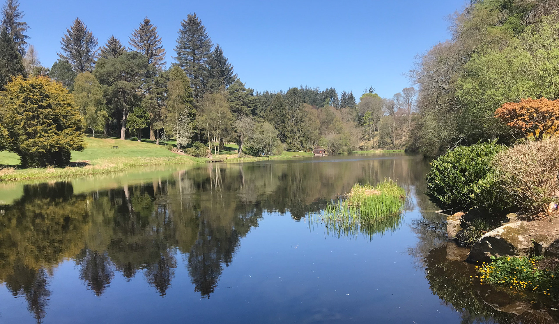 6th May 2020. This is Murtle Den, a delightful spot near to where we live that we only discovered when looking at Google Earth for some different walks. Unfortunately, there are gardens that lead down to the loch so it isn't possible to walk around it (access laws don't allow you to walk through people's gardens)