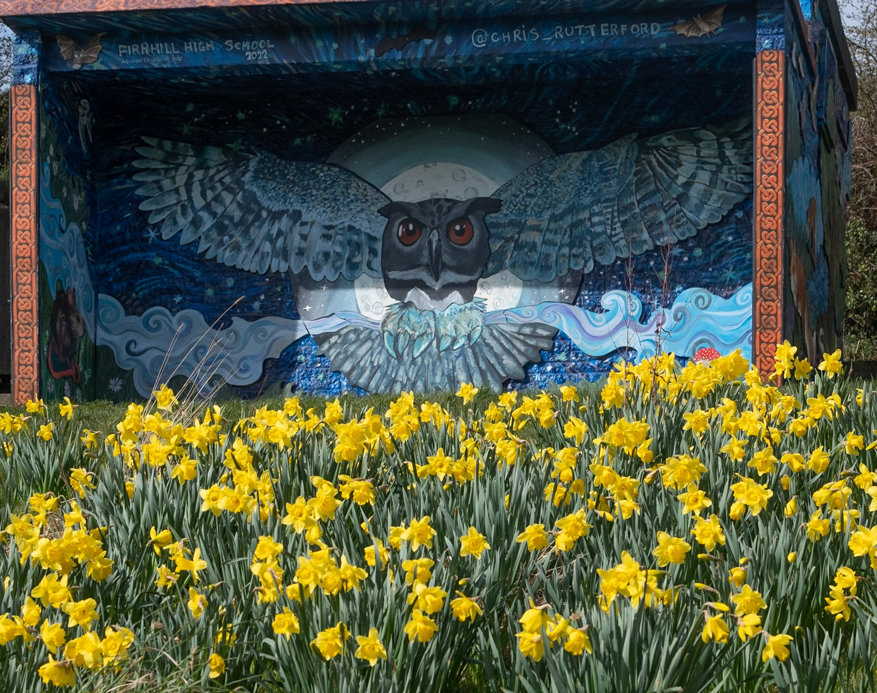 The owl and the daffodils. The shelter in the park has bbeen refurbushed with some dramatic images by the student from a local school. I think he's done a great job. I loved the contrast with the daffodils.