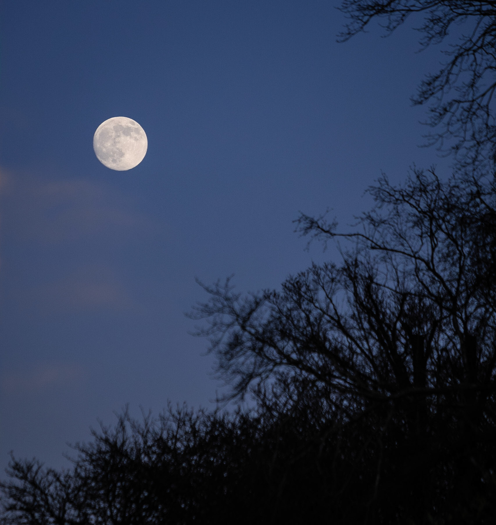 I'm not sure if this counts as a picture of the park but it certainly is a picture taken in the park. I liked the image of the winter moon, taken at dusk on a January afternoon.