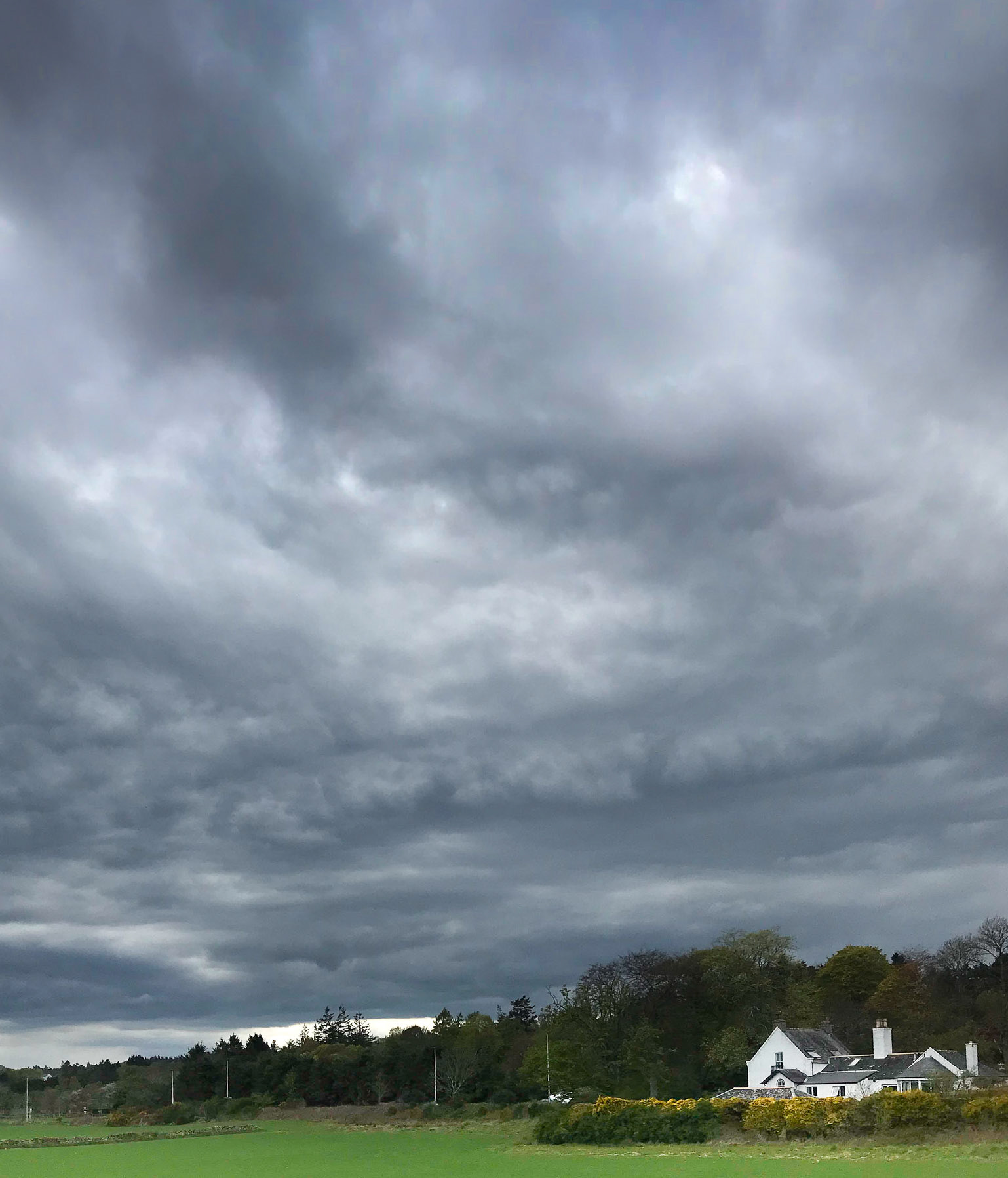 7th May 2020. After a week of blue skies, the weather changed from the west and today it rained. Luckily, it was short-lived and we were back to sunshine the following day.